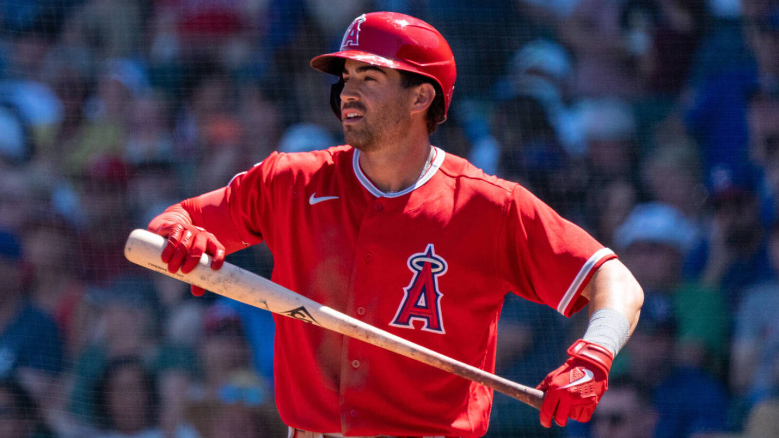 Angels activate OF Taylor Ward from injured list