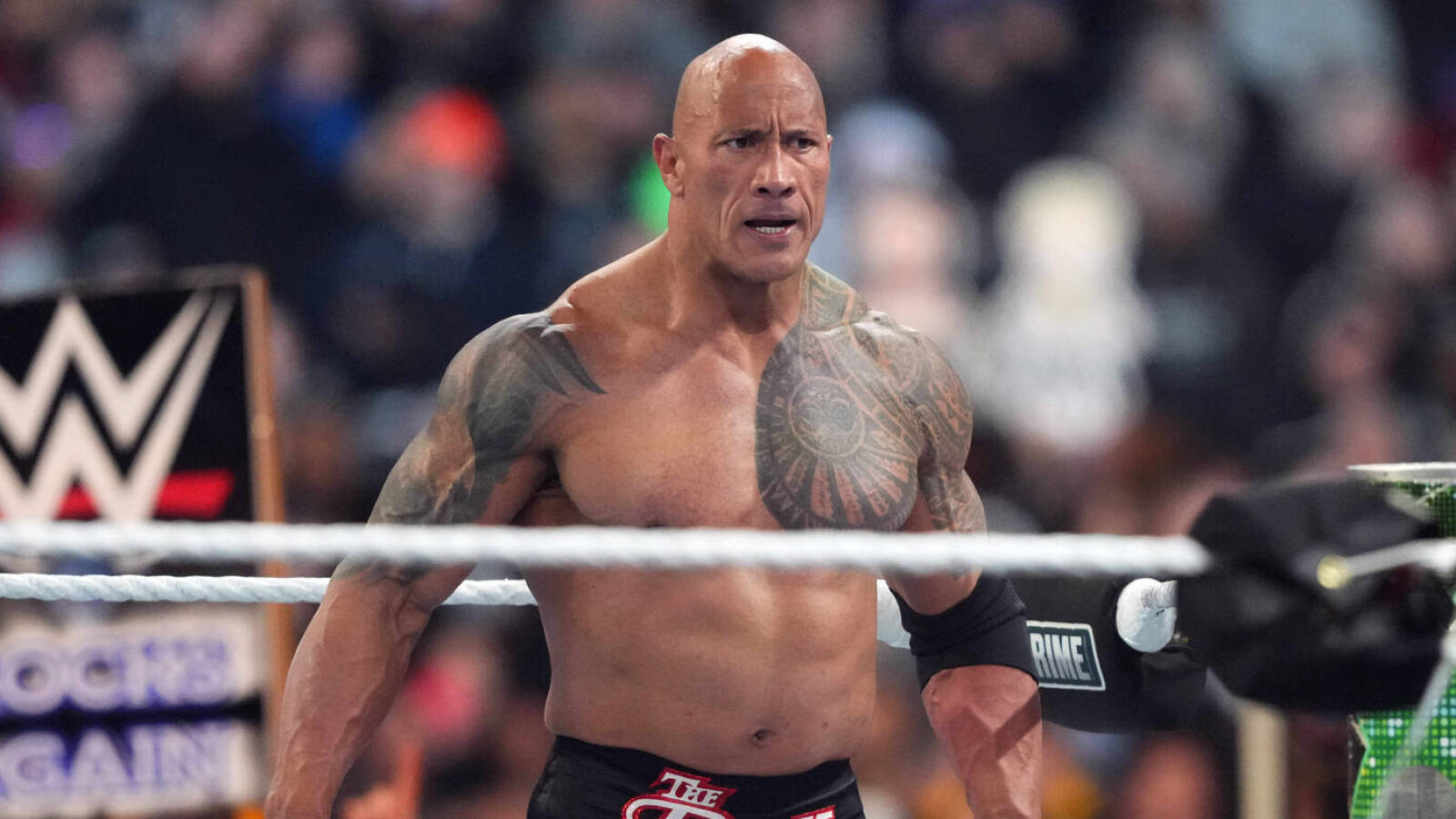 The Rock details when he knew it was time to return to WWE | Yardbarker