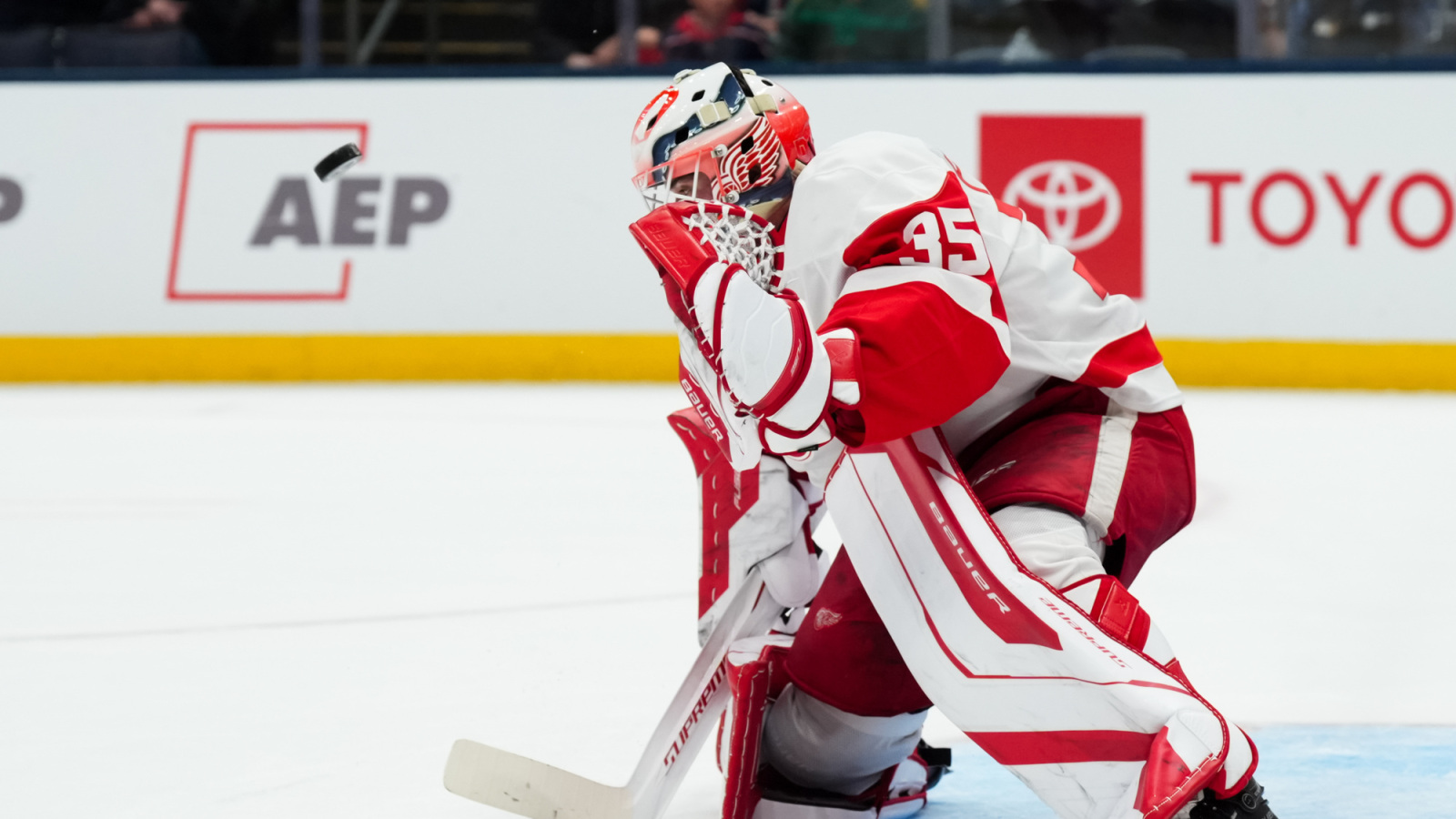 Report: Michal Postava Recalled By Detroit Red Wings