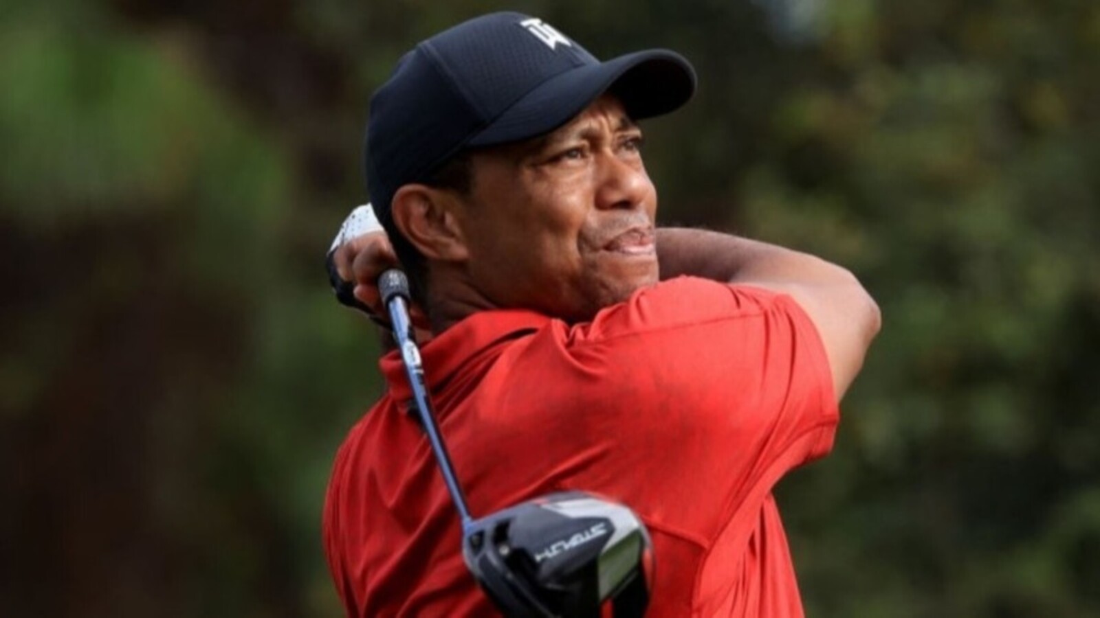 Tiger Woods Masters odds Can Tiger Woods win the Masters? TrendRadars