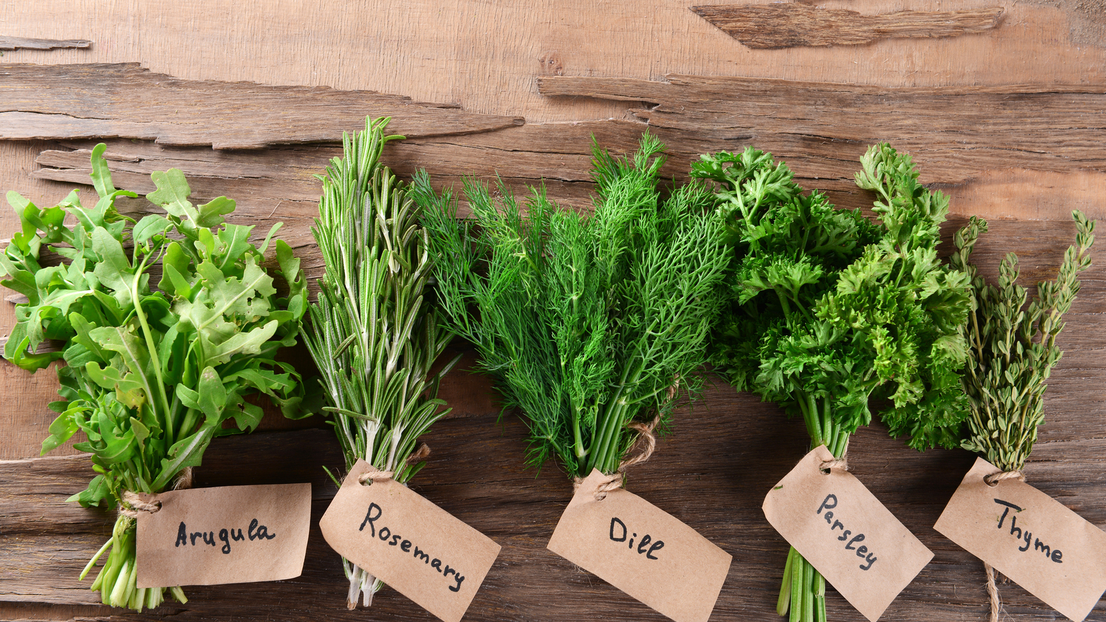 20 tips for growing a thriving herb garden | Yardbarker