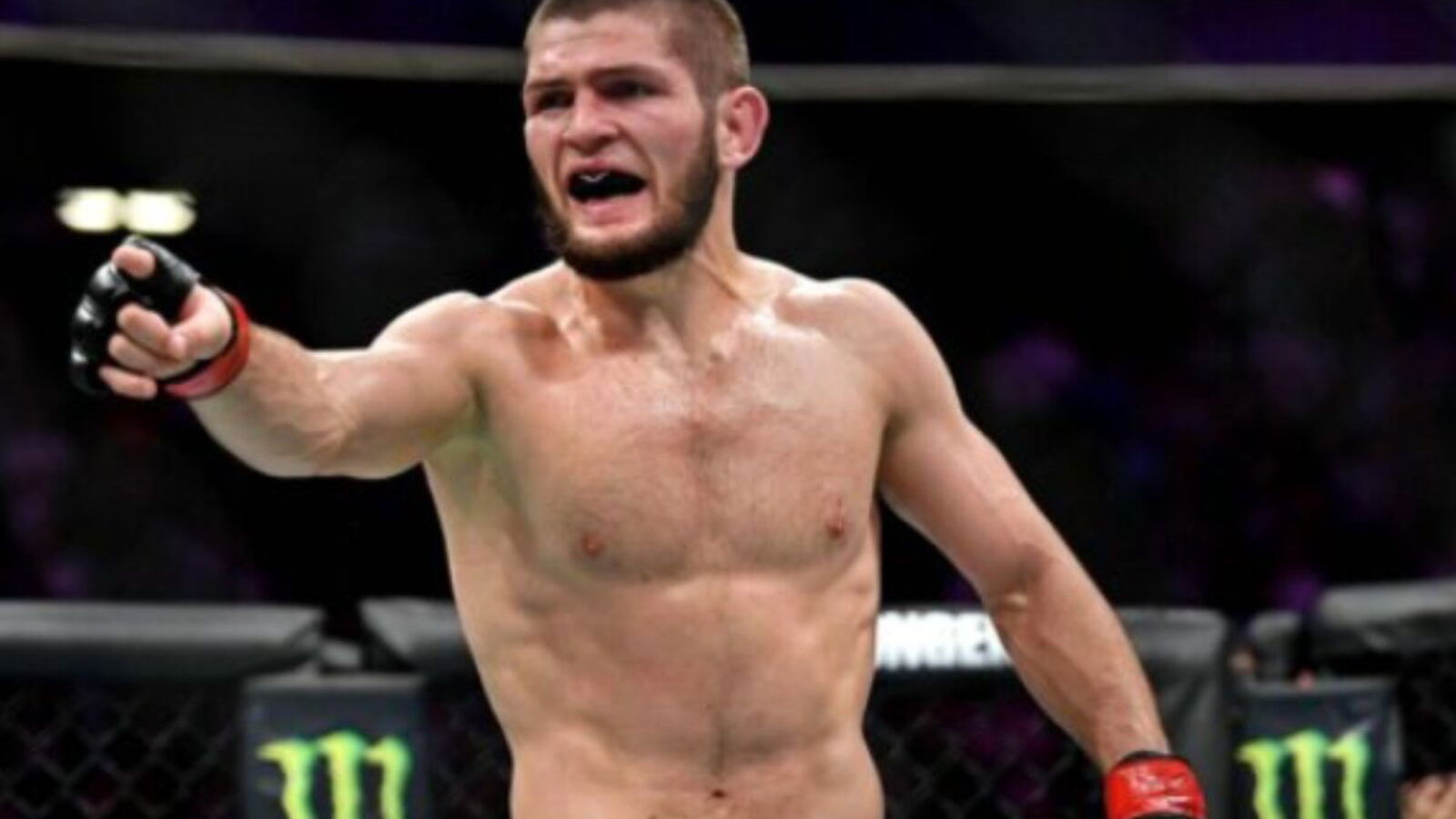 Khabib’s Cousin Justifies UFC 324 Prelims Placement After 'embarrassing' fight against former champ