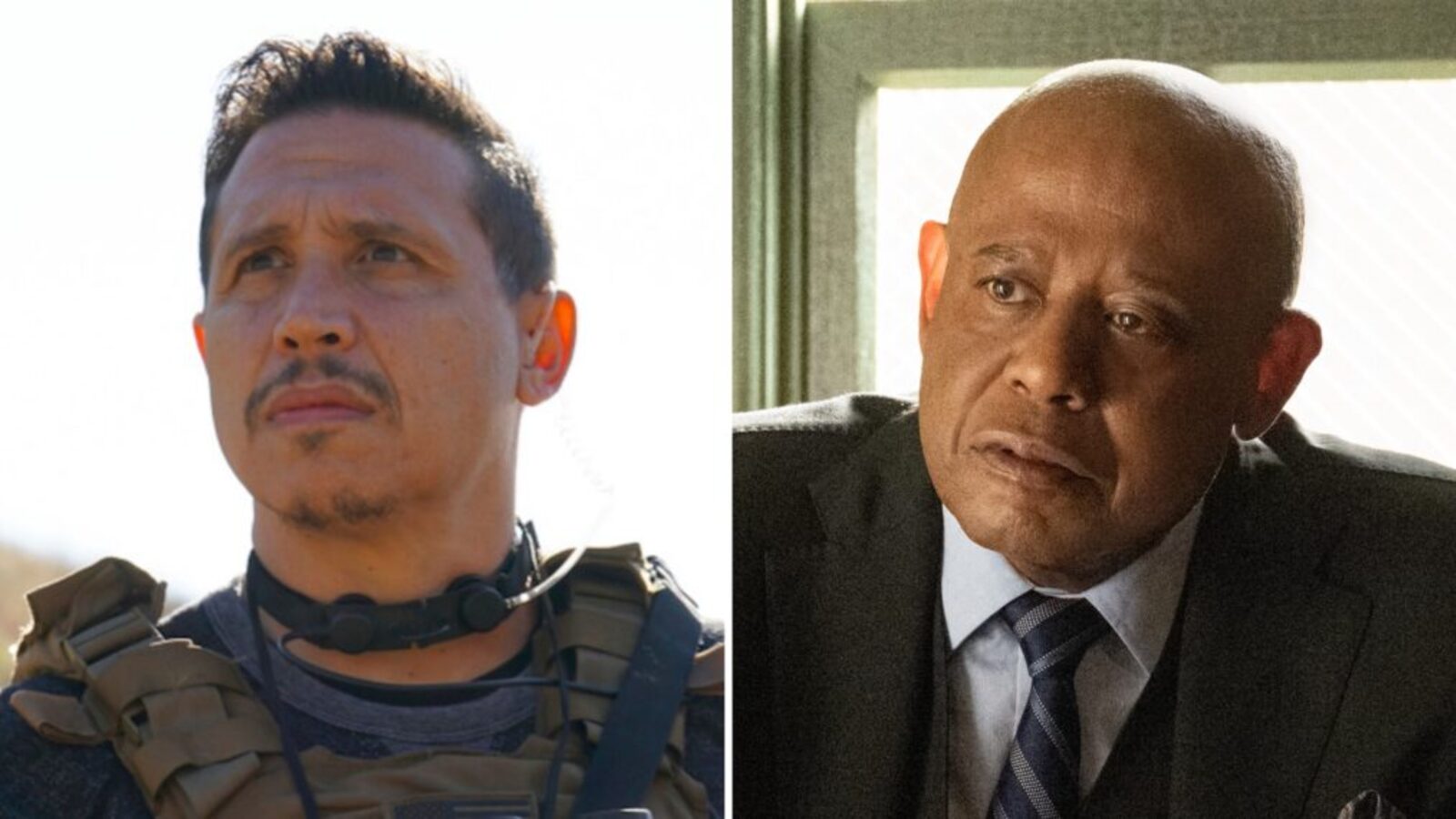 ‘Godfather of Harlem’ Adds Erik Palladino as Notorious Mafia Hitman ...