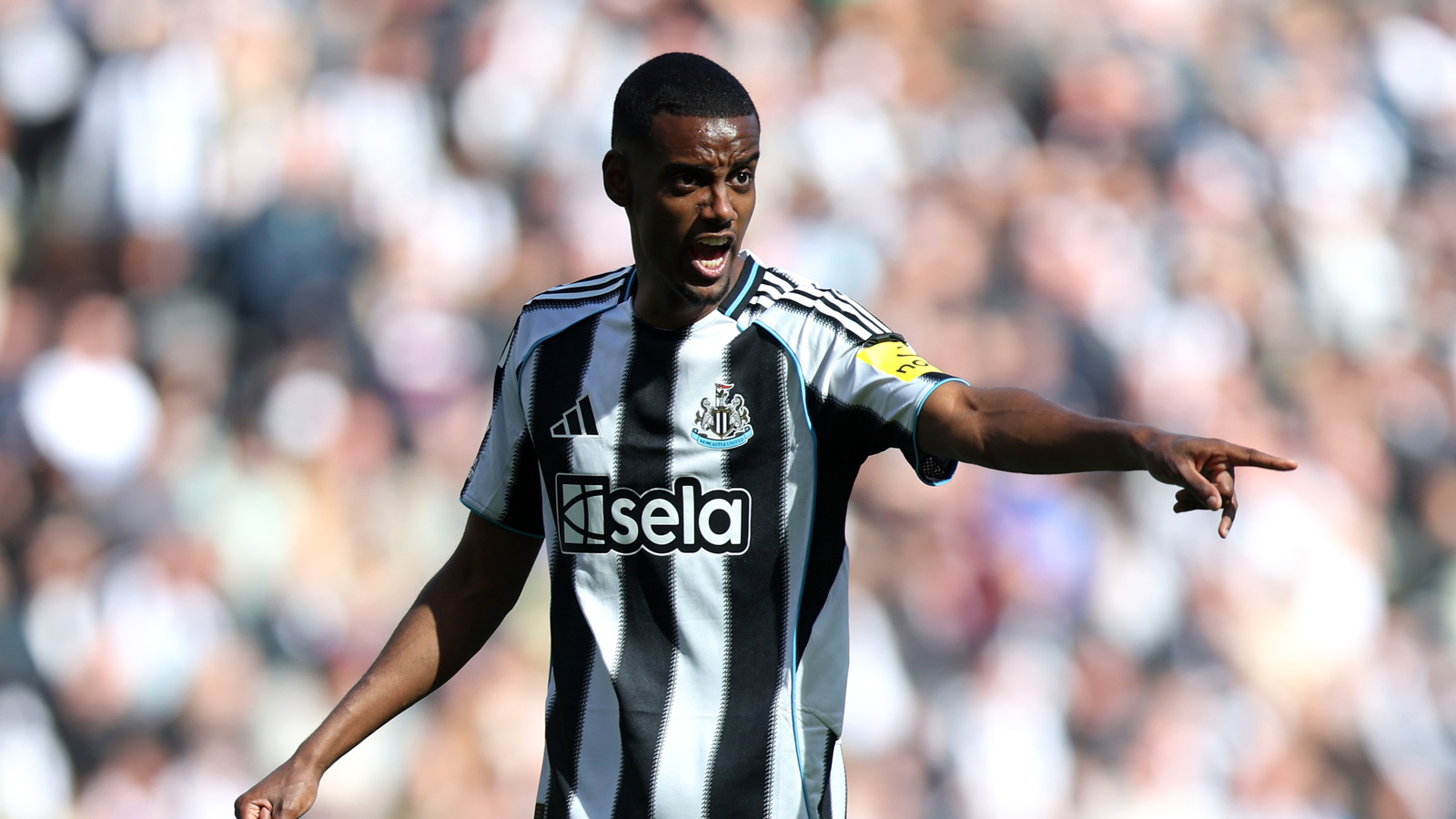 Fabrizio Romano reiterates ‘obvious’ point about Alexander Isak as ...