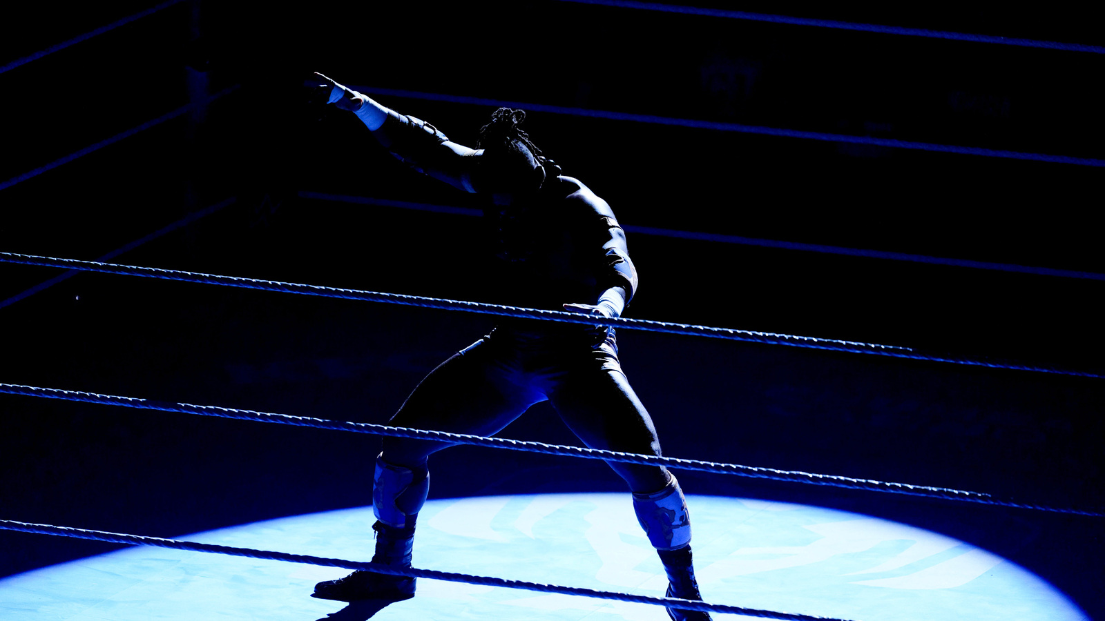 https://www.yardbarker.com/media/9/b/9b34bc230ef2772a19573138442a760859f1fb61/thumb_16x9/summerslam-night-1-takeaways-oba-femi-stands-tall.jpg?v=1