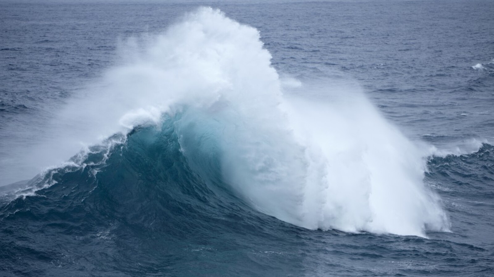 Washington mega tsunami