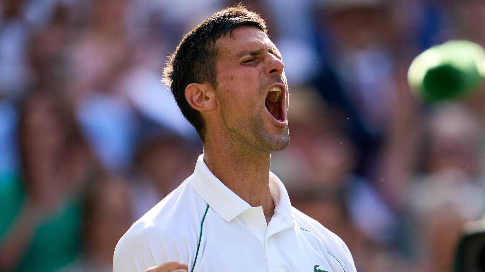 Novak Djokovic beats Nick Kyrgios to secure seventh Wimbledon title