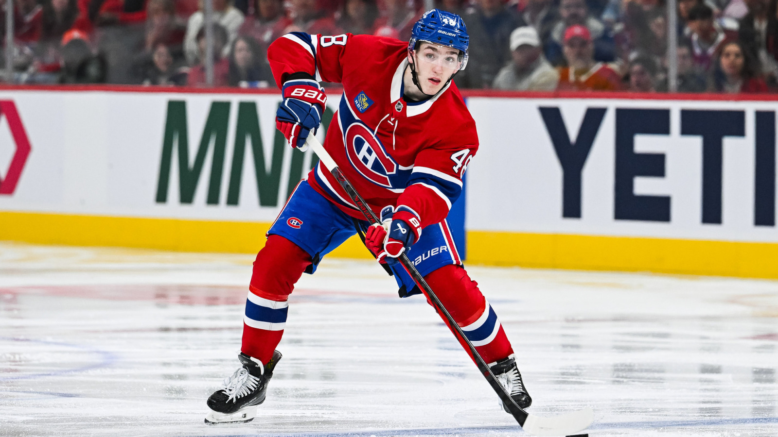 NHL News