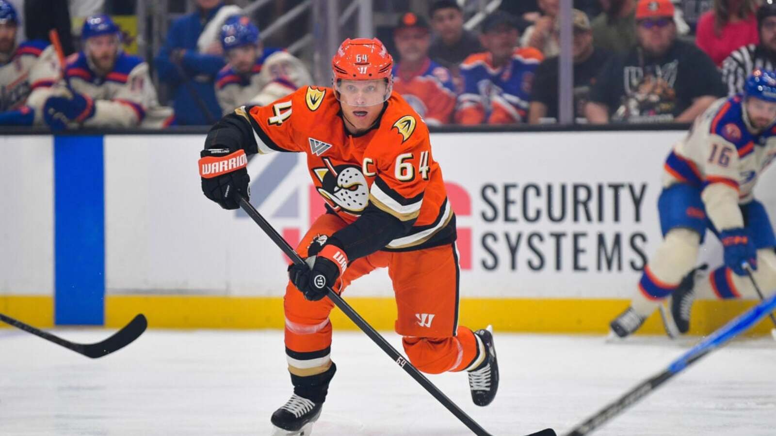 Ducks News and Notes: Off to a Hot Start