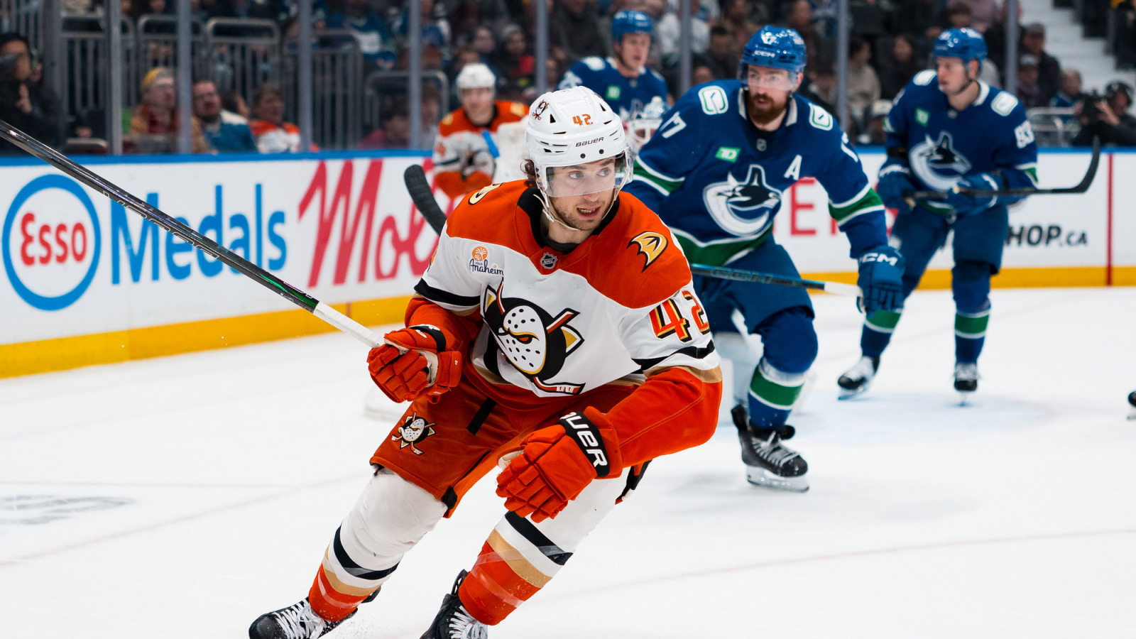 How Anaheim Ducks’ Tim Washe has become an Edmonton Oilers’ threat ...