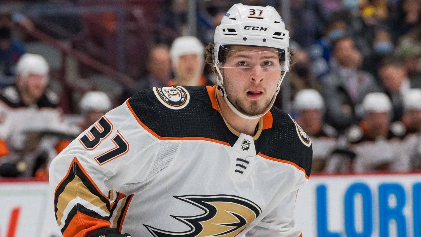 Examining each NHL team's top prospect to watch at World Juniors - Vimarsana News