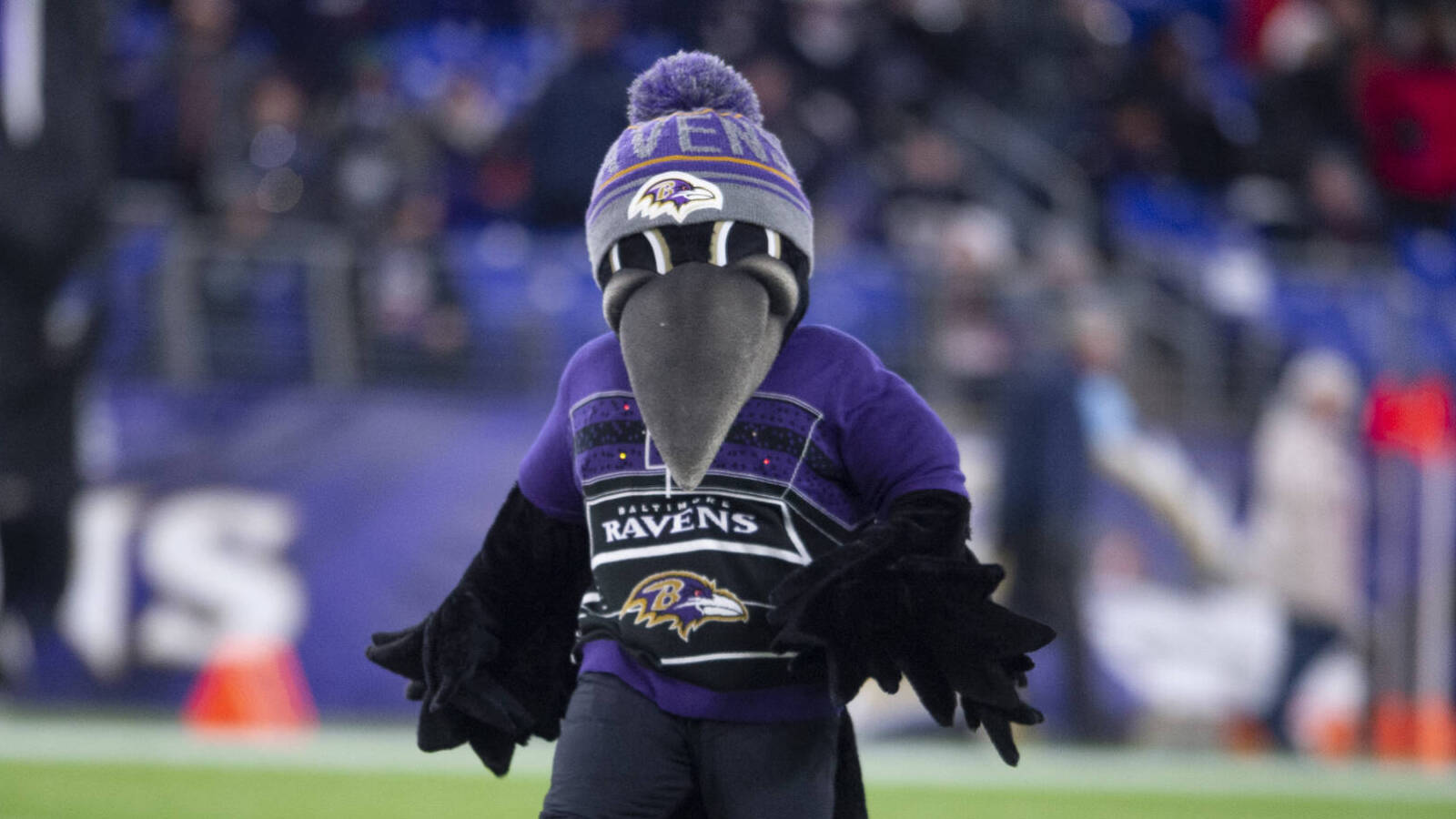 watch-ravens-mascot-poe-makes-triumphant-return-off-ir-during