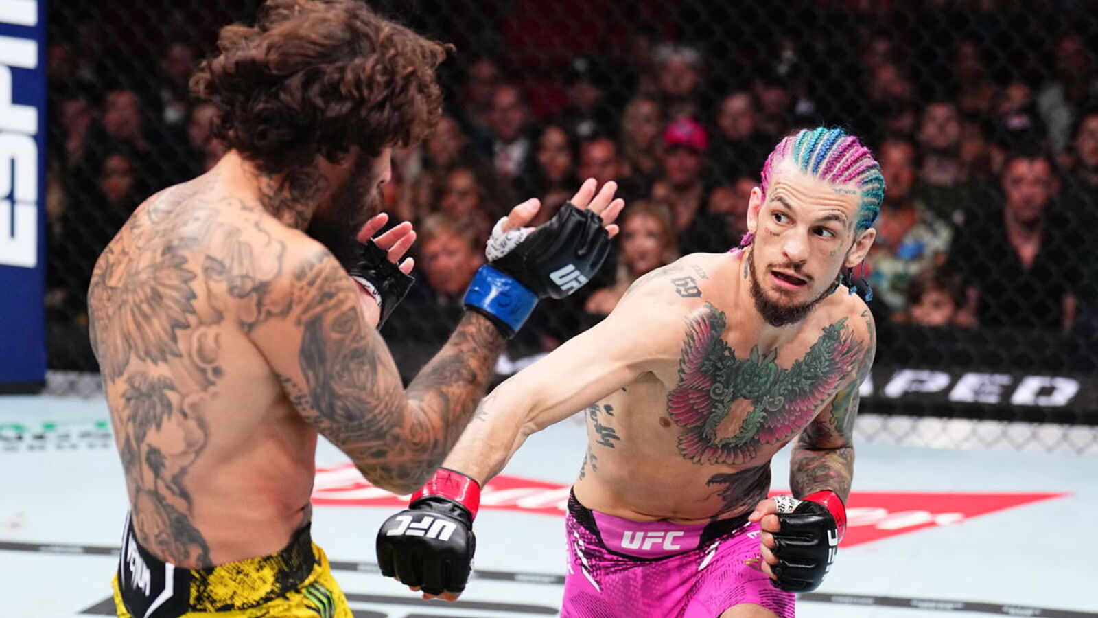 UFC 324: Sean O’Malley vs. Song Yadong Stats and Prediction: Record, Age, Height, Walkaround Weight, Reach, & Rankings