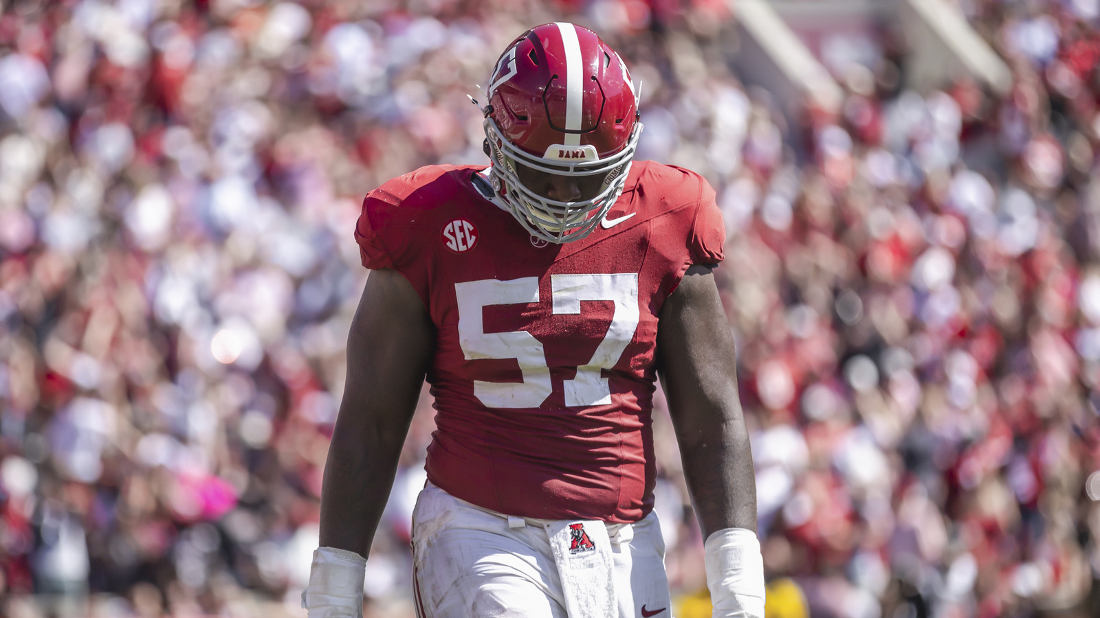 NCAAF News