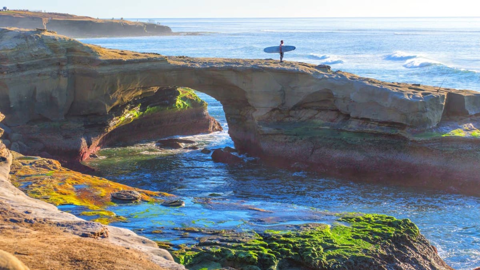 Body Found Floating at TripAdvisor’s No. 1 U.S. Beach Sparks La Jolla ...