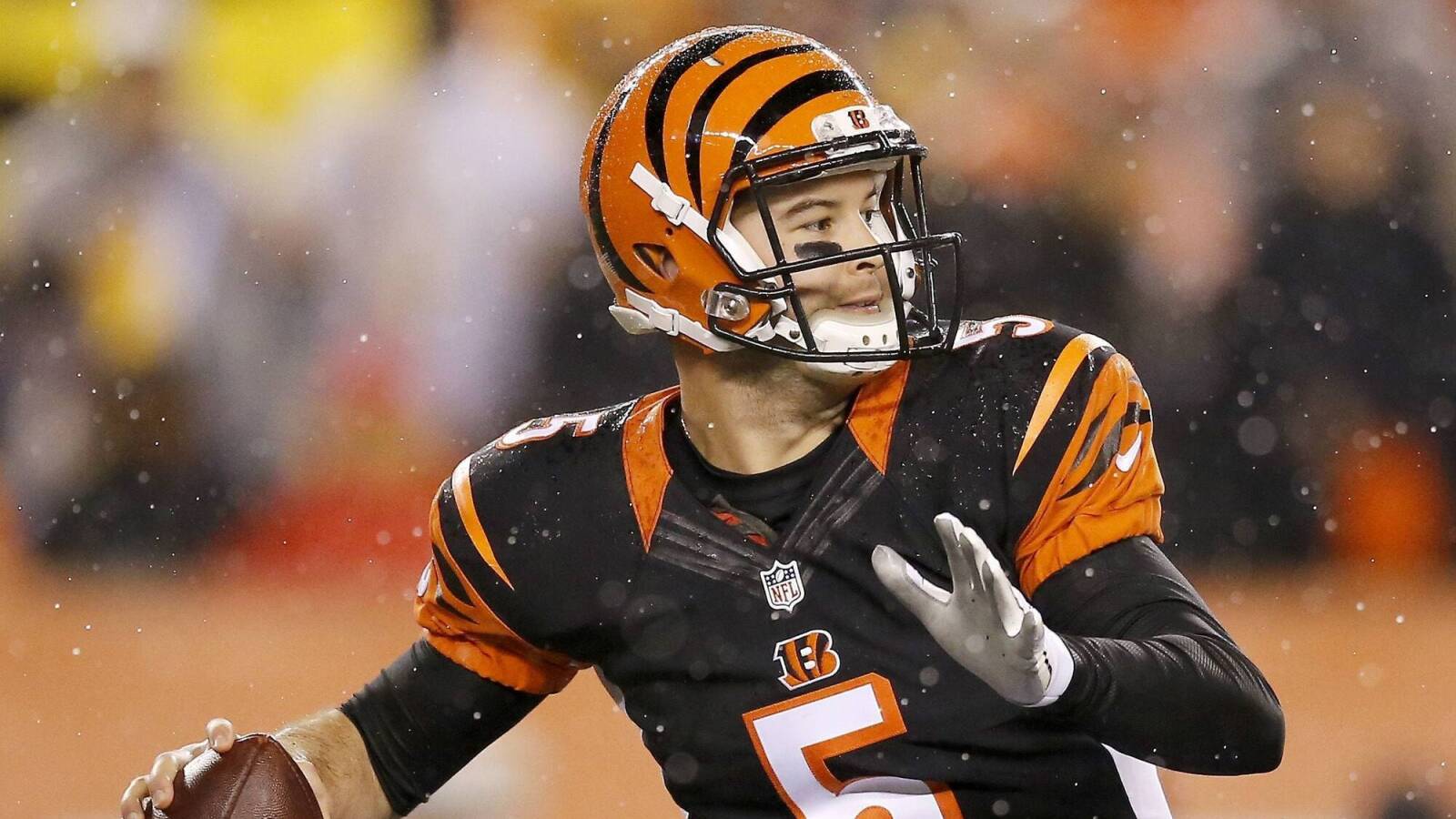 Notable Former NFL Players to Watch in the 2024 UFL Season Archysport