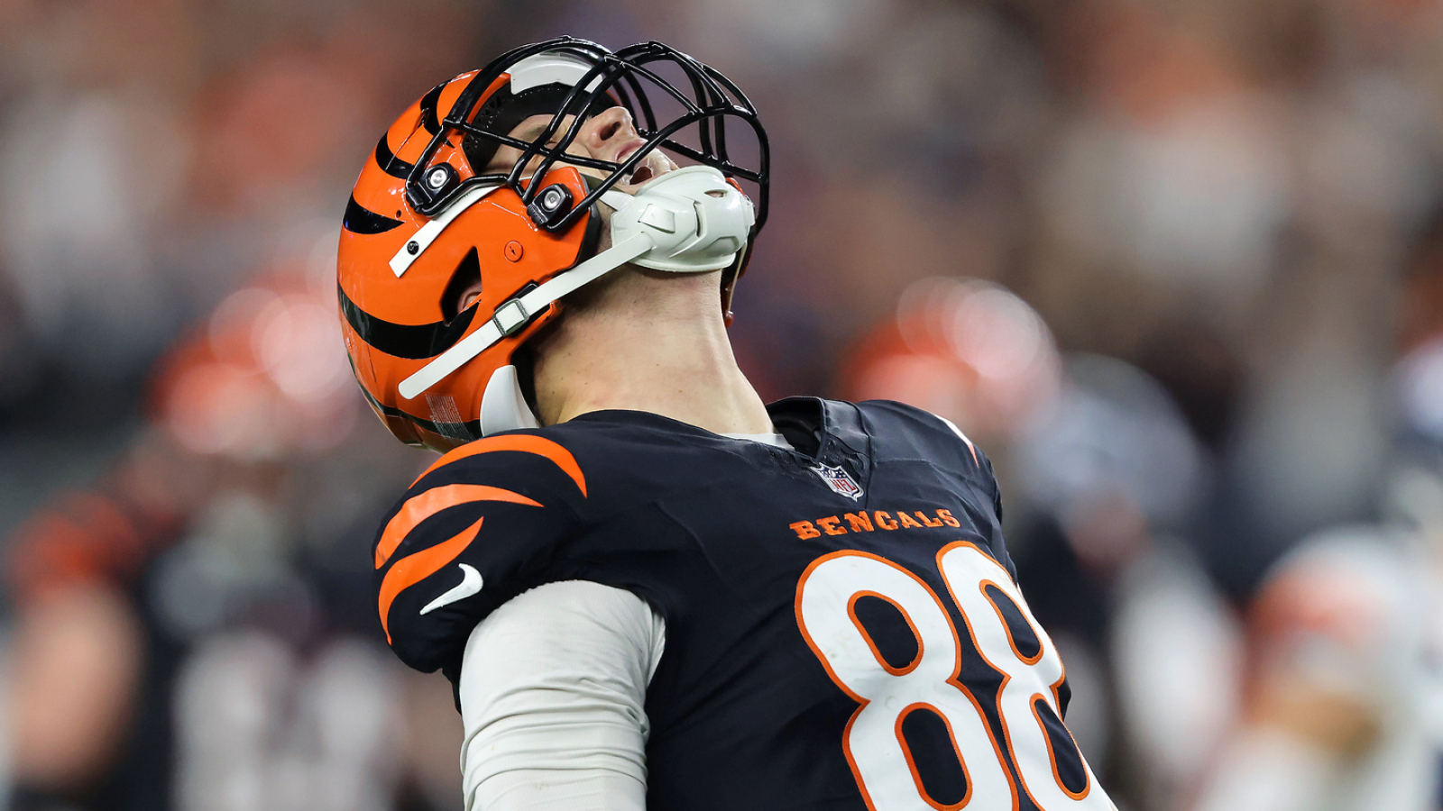 NFL News