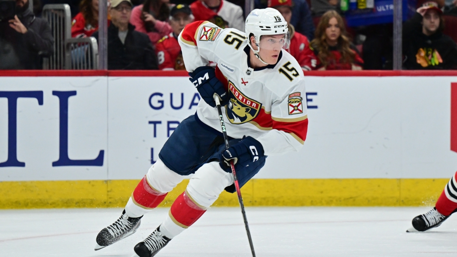 NHL News