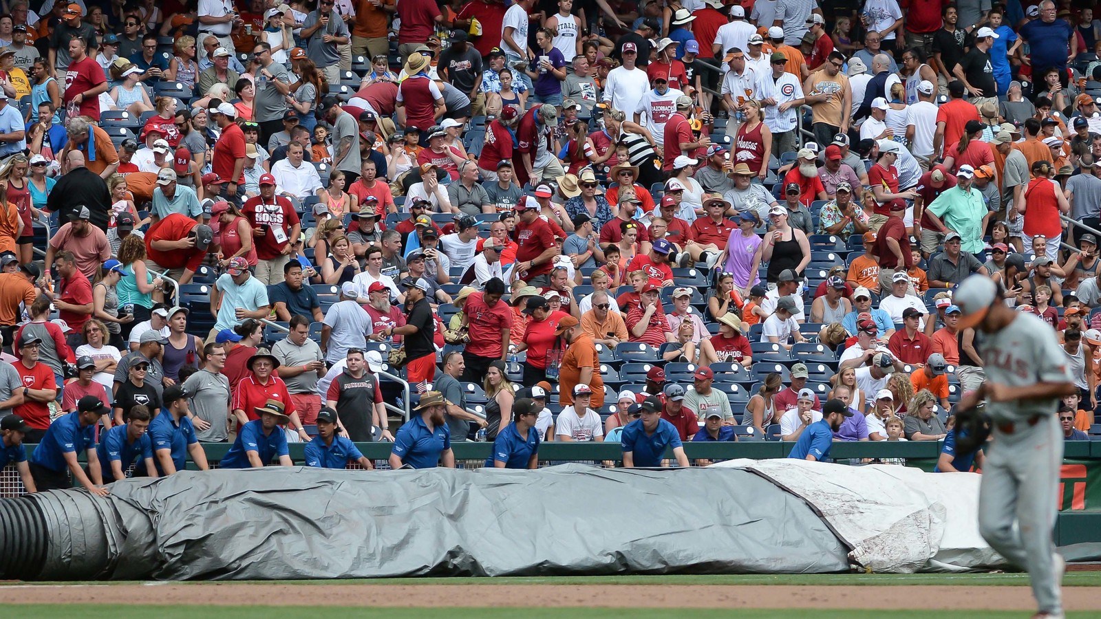 Reds World Series Odds Reds World Series Odds