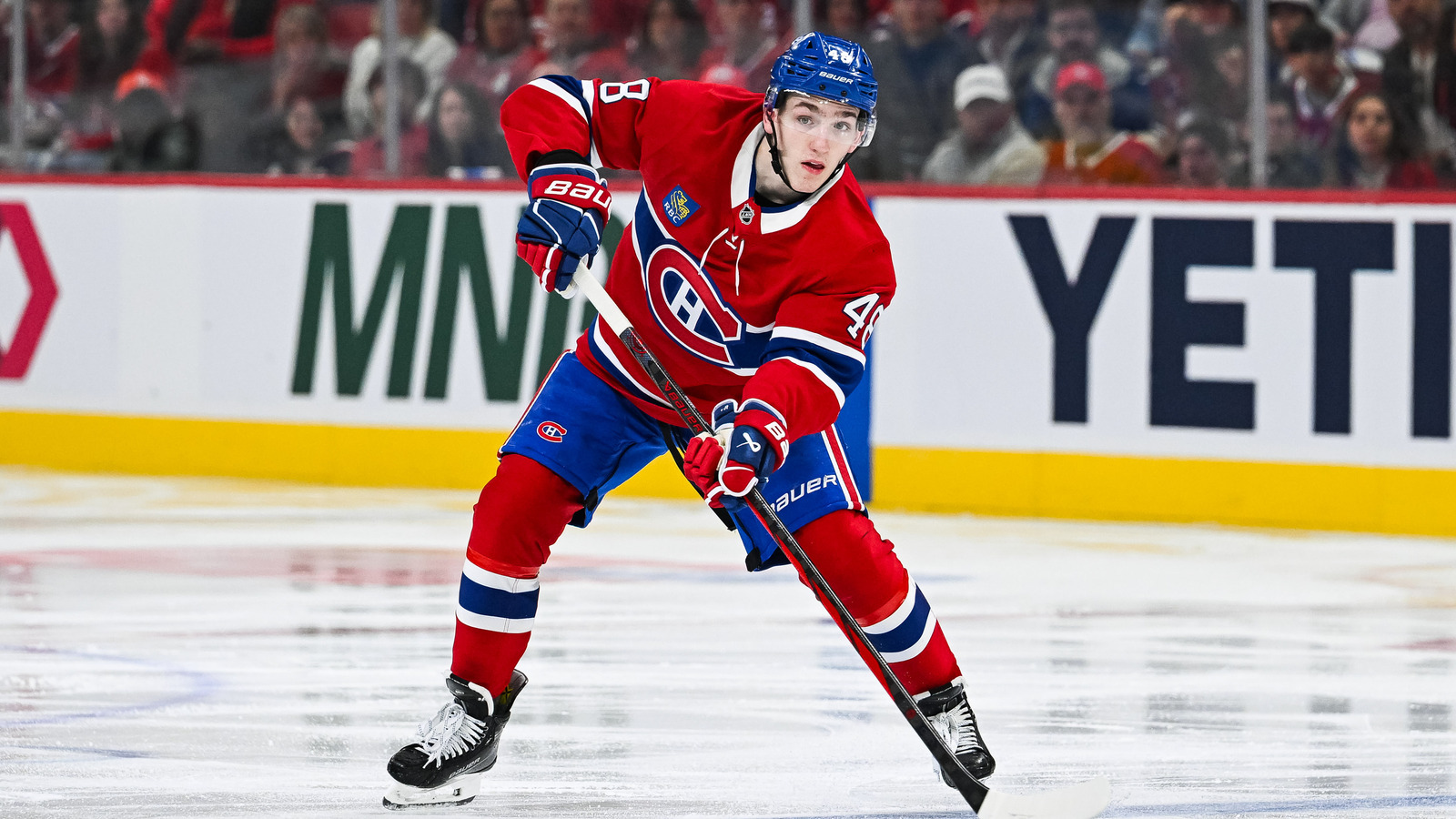 NHL News