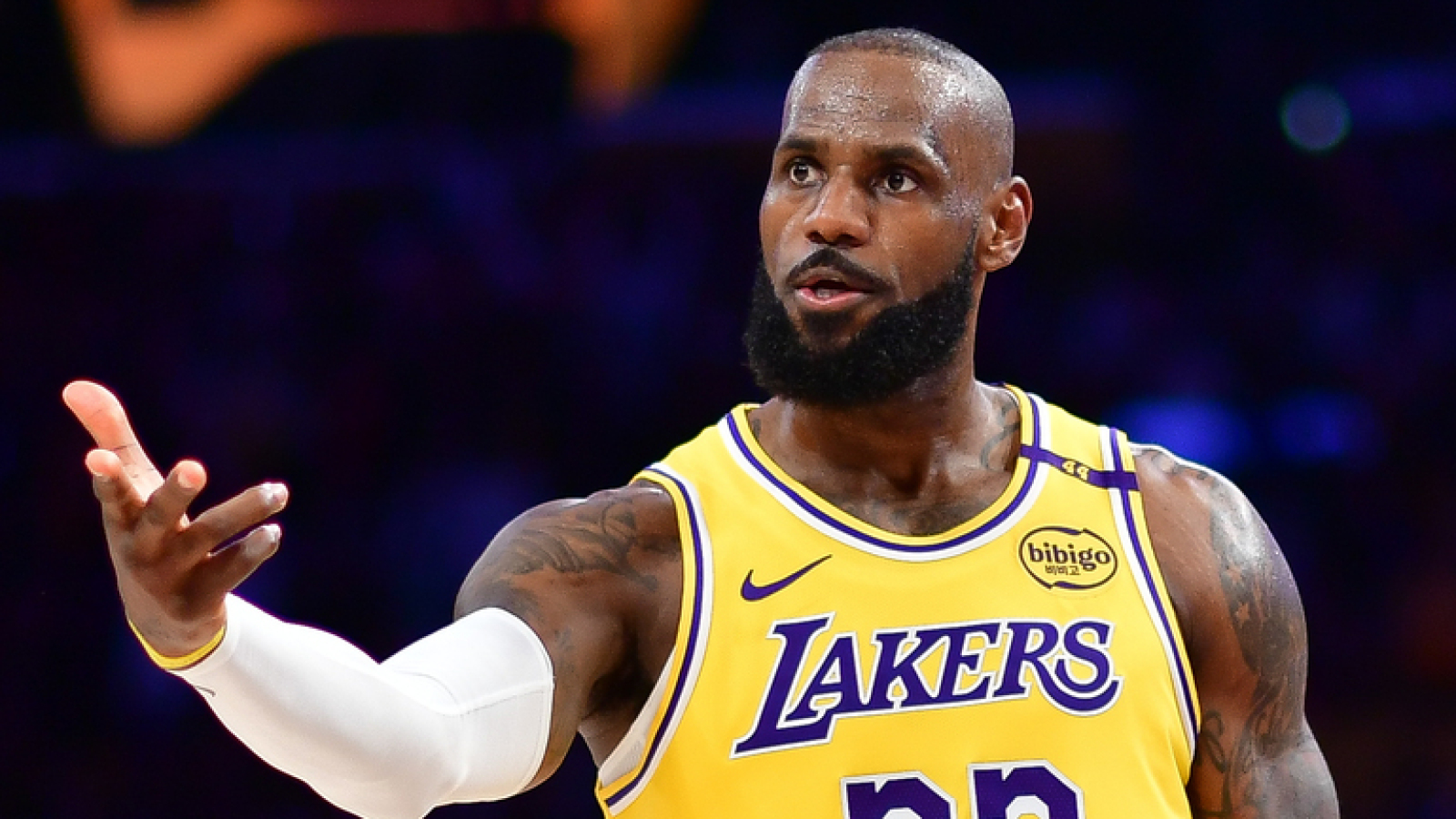 lebron james defensive player of the year