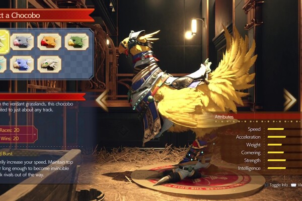 Ffchocobo Racing FF7 Rebirth: Best Chocobo Race bird and equipment build | Yardbarker