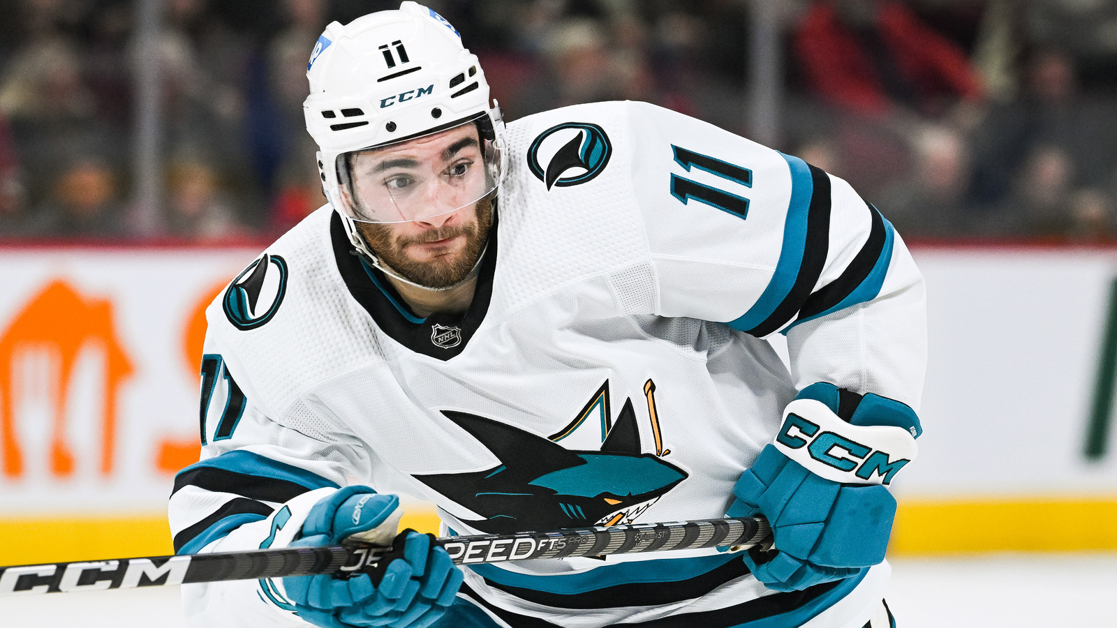 4 Under-The-Radar Sharks to Watch in 2023-24 | Yardbarker