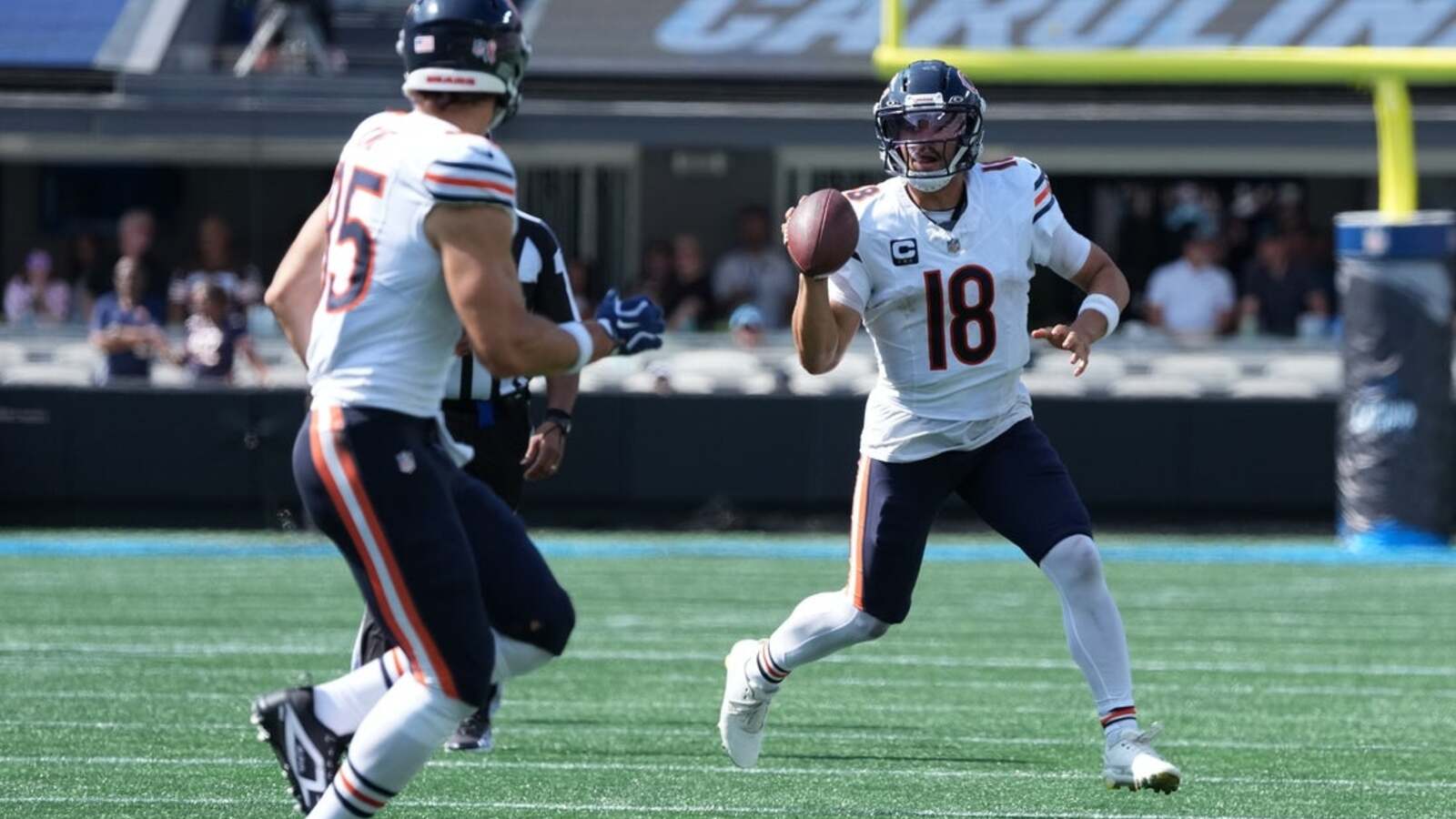 Bears and Cardinals See Projections Rise After Week 1