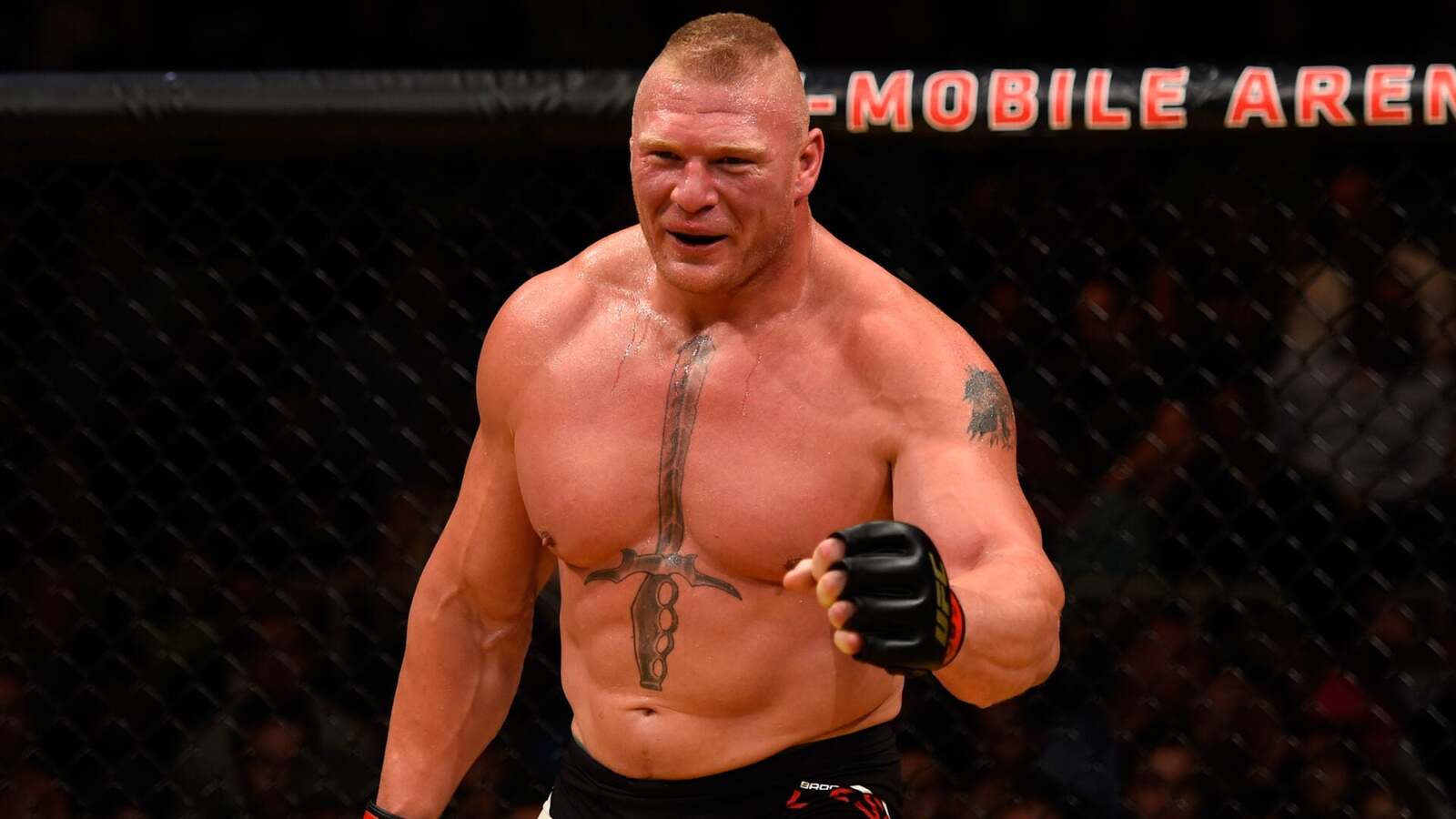 Alistair Overeem Congratulates Brock Lesnar on WWE Retirement