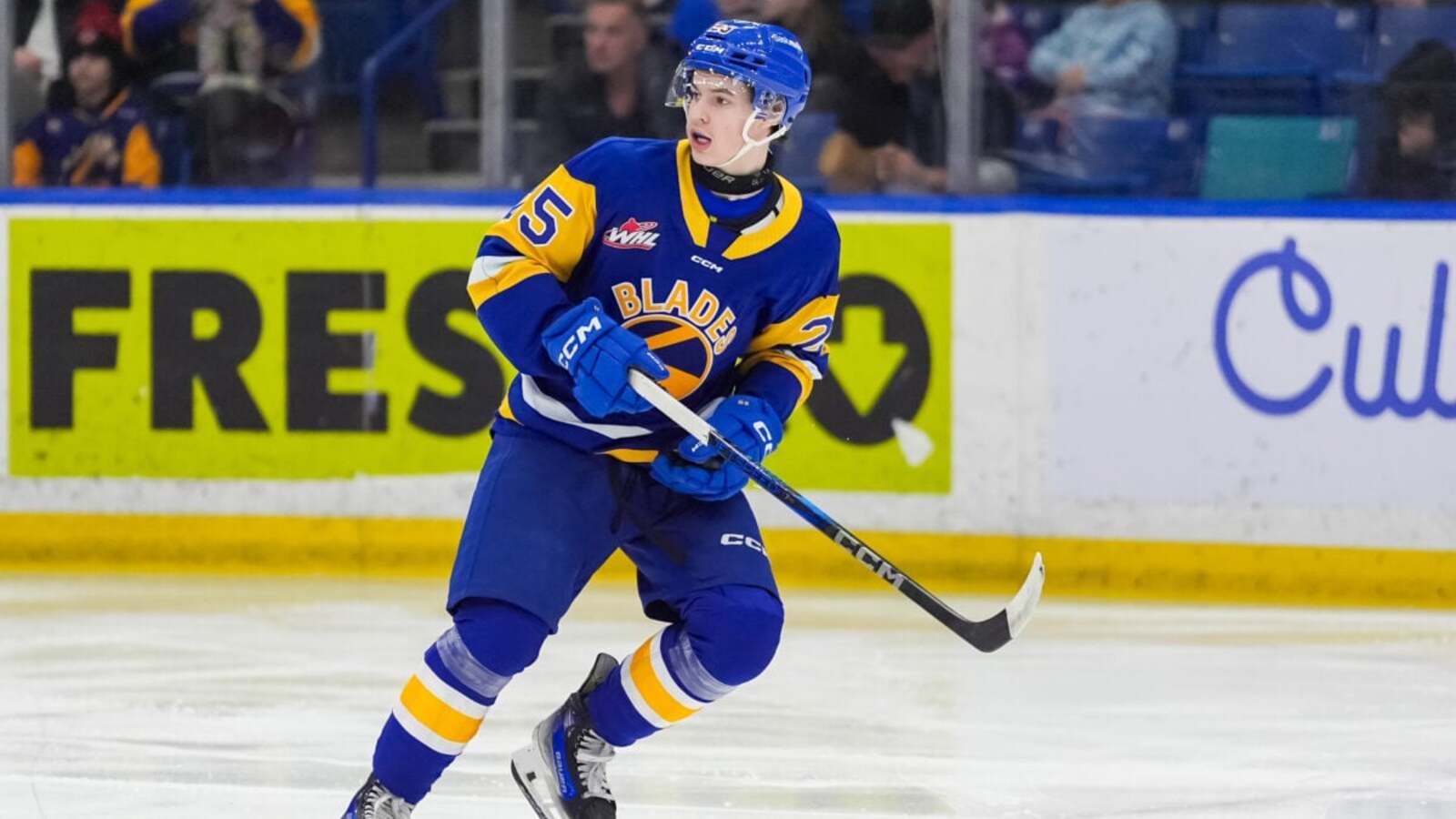 Cooper Williams – 2026 NHL Draft Prospect Profile