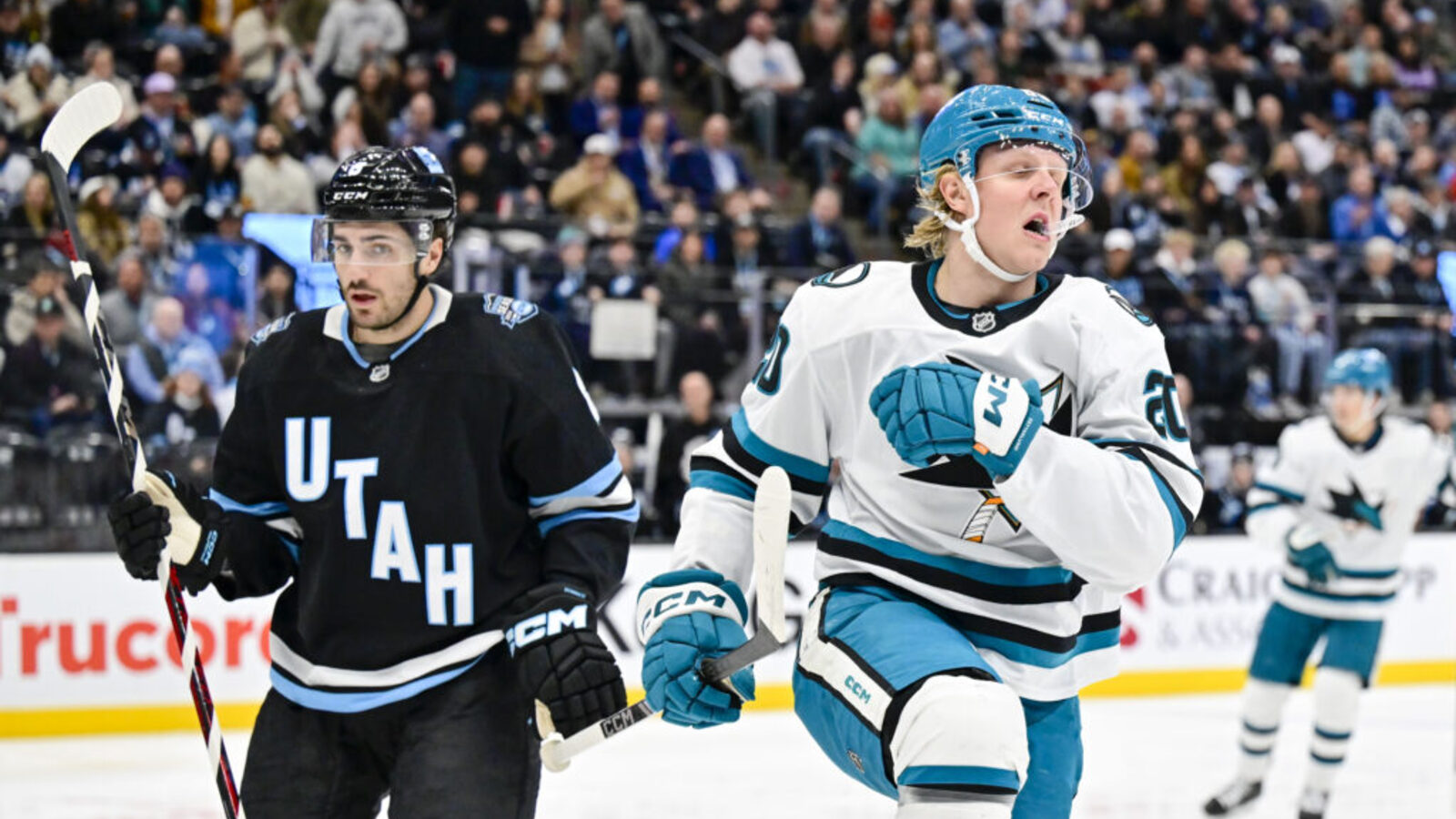 NHL News