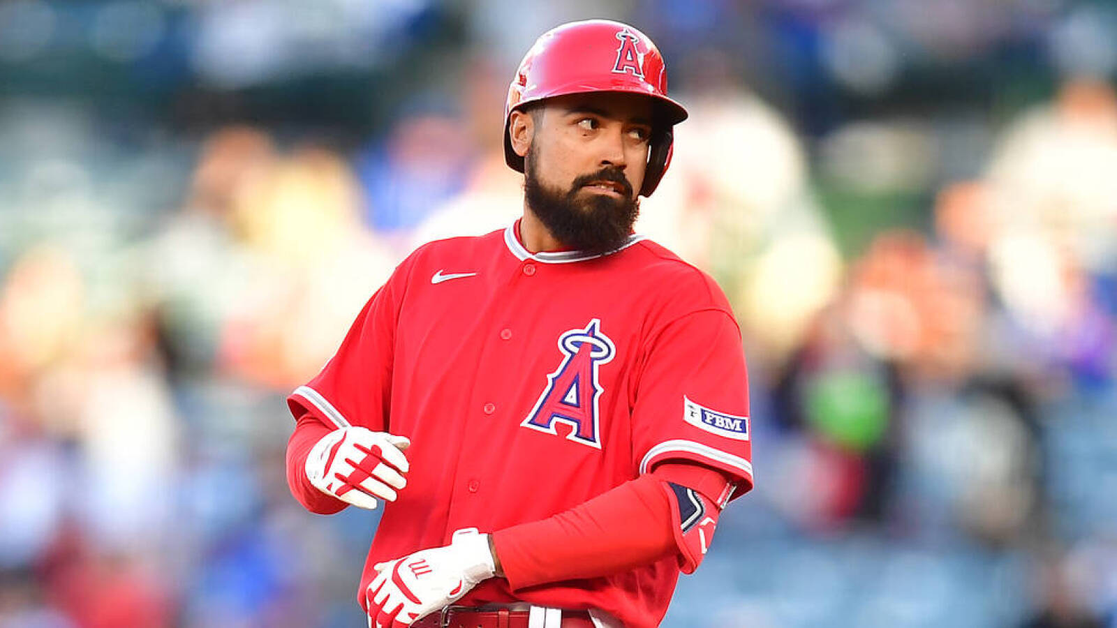 anthony rendon fan