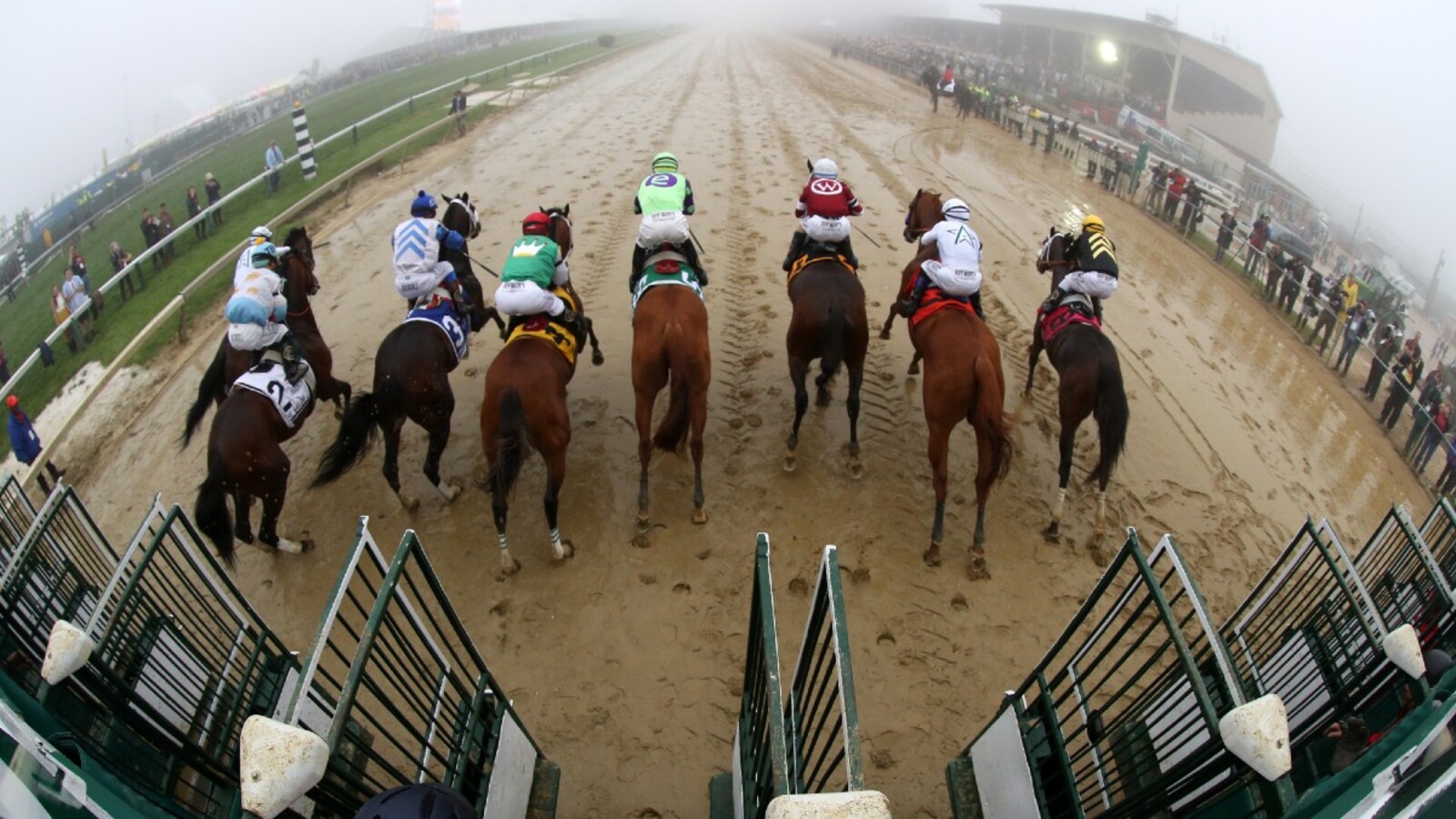 2024 Preakness Stakes odds, best bets: Expert picks to win, exacta, trifecta, superfecta - Vimarsana News