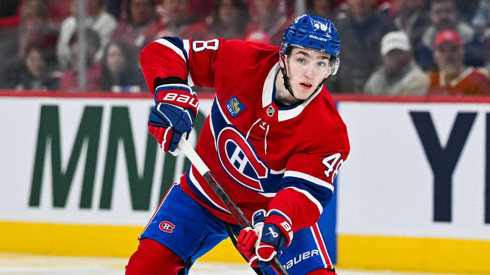 NHL News