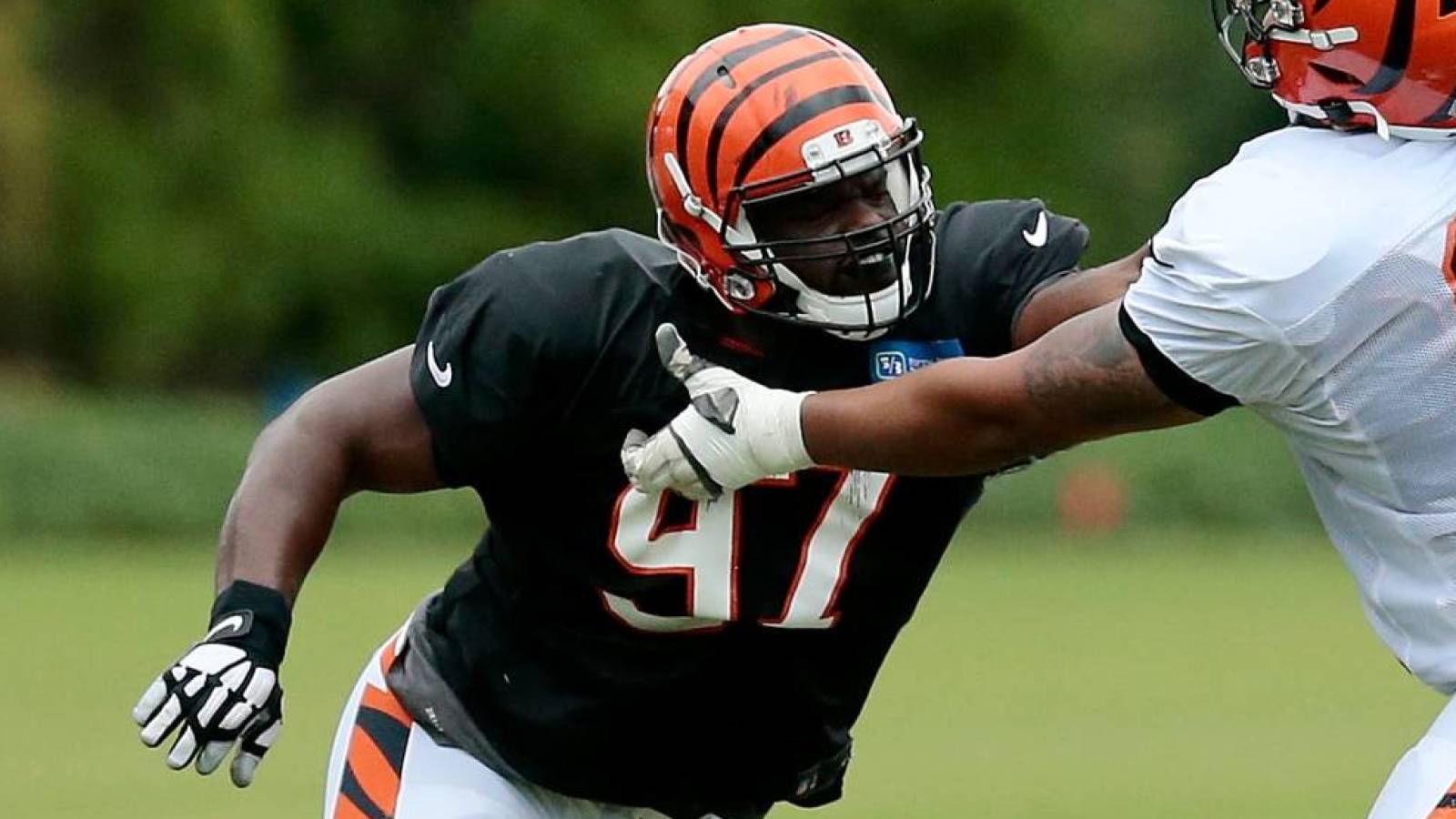 Geno Atkins Geno Atkins