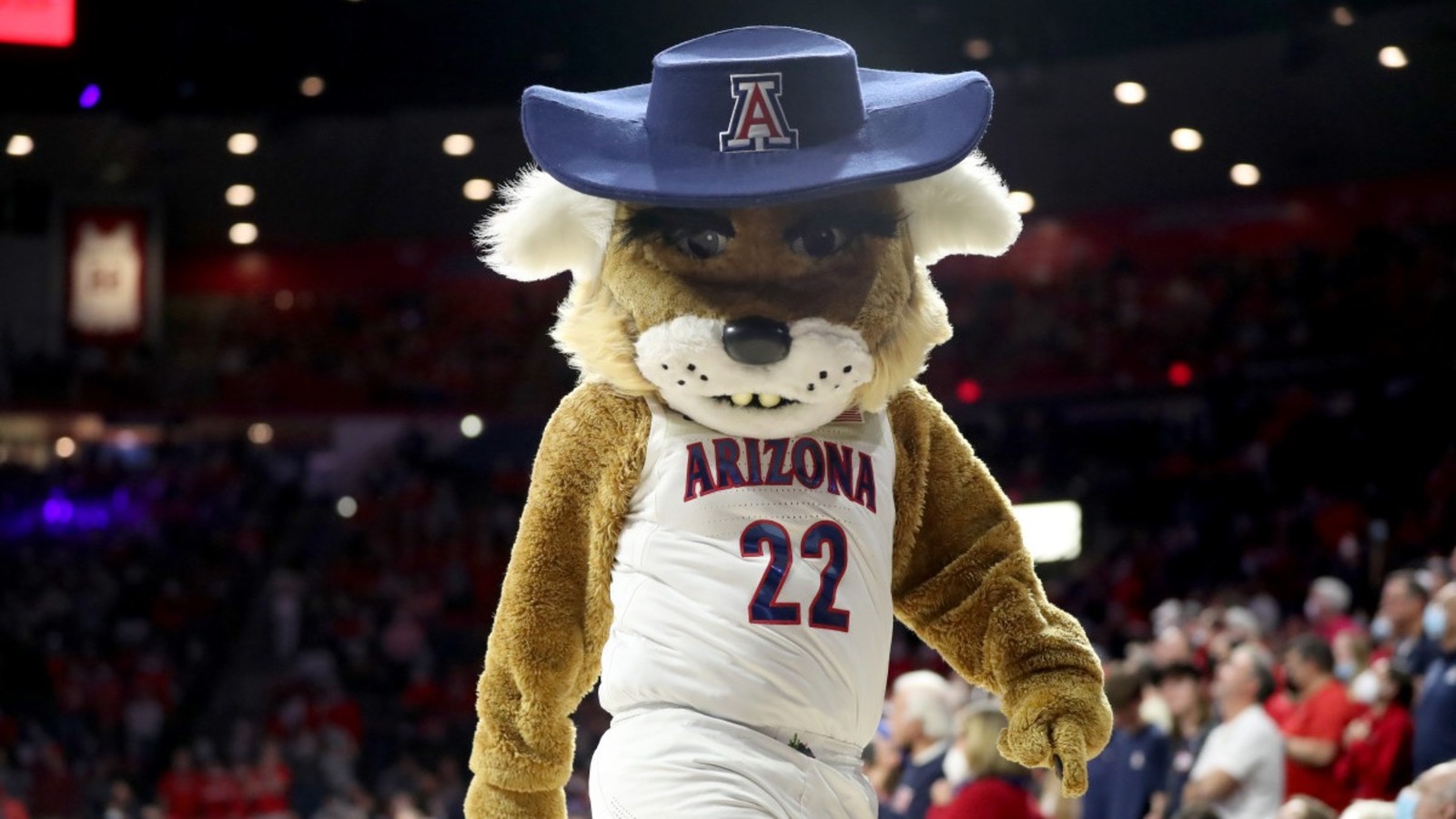 Arizona vs. Washington prediction, pick, odds: Can we trust Azuolas Tubelis, Arizona?