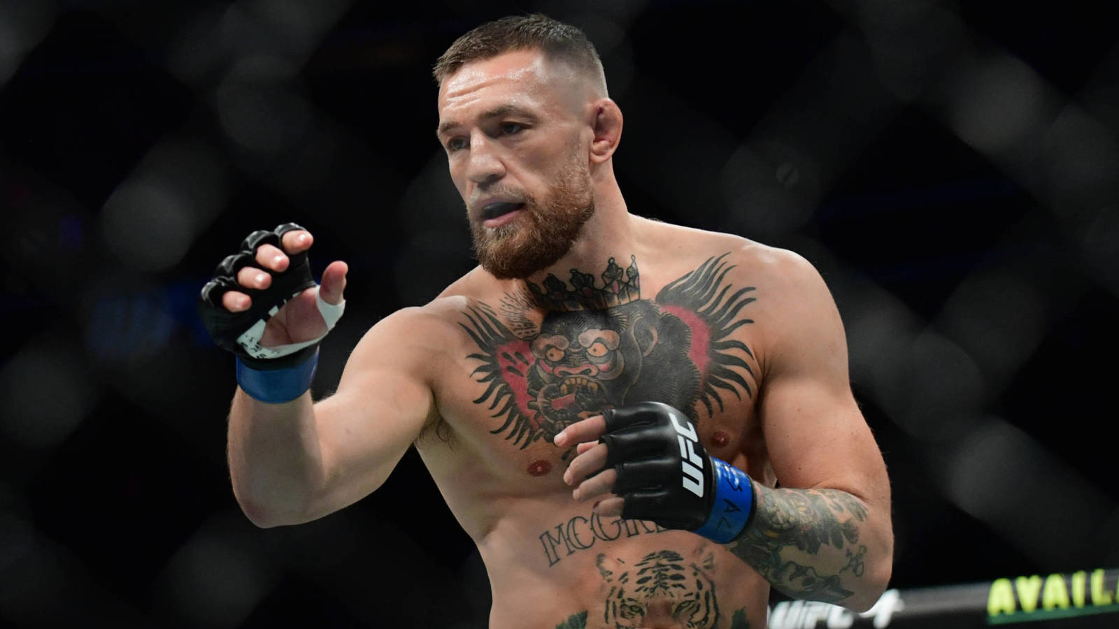 Conor McGregor allegedly punched Italian DJ, broke his nostril