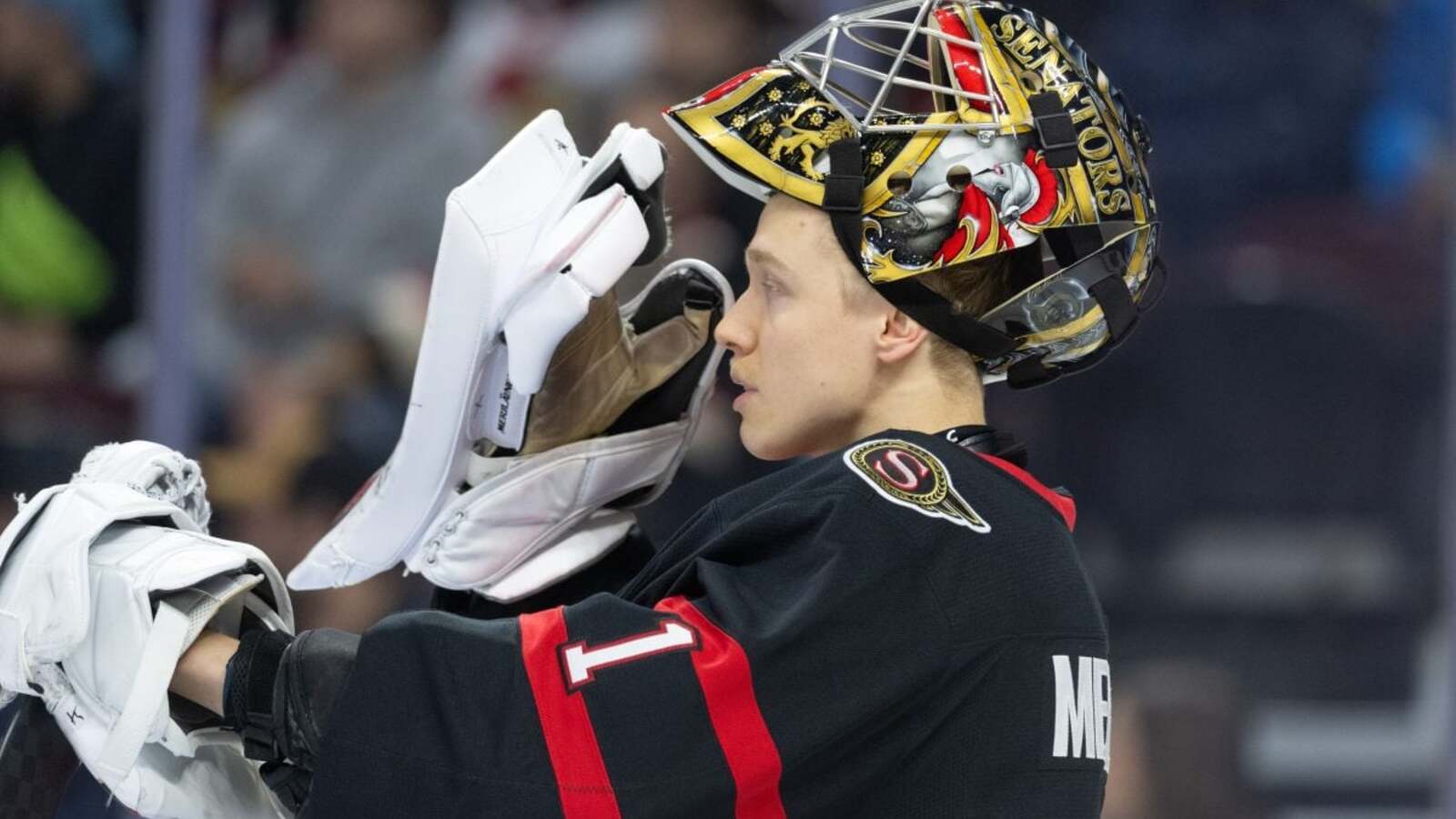 Senators Continue to Show an Unwillingness to Develop Goalies