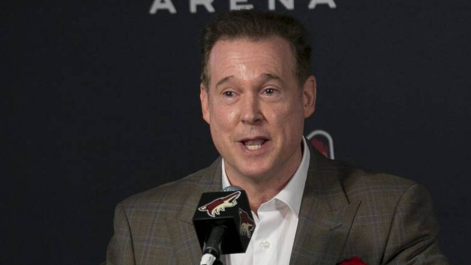 How Meruelo can bring hockey, and the Coyotes, back to Arizona