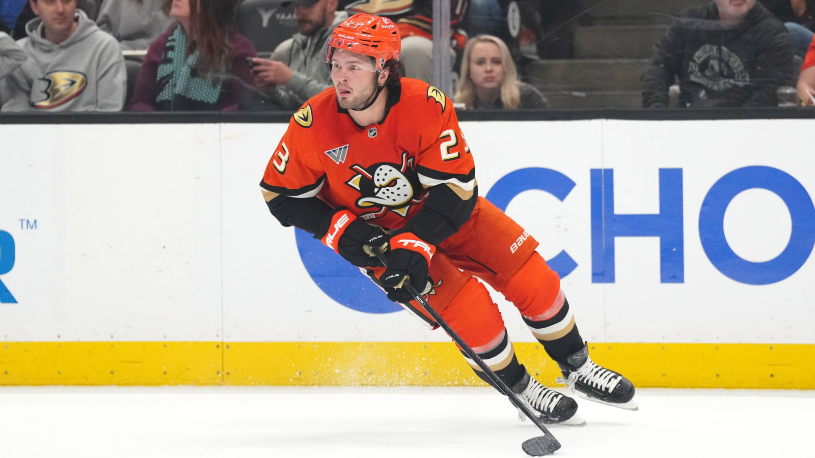 NHL News