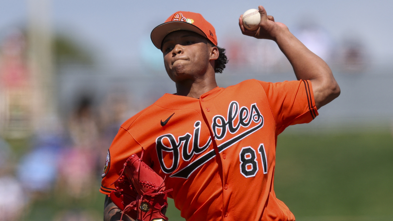 Baltimore Orioles Promote Pitching Prospect Luis De Leon