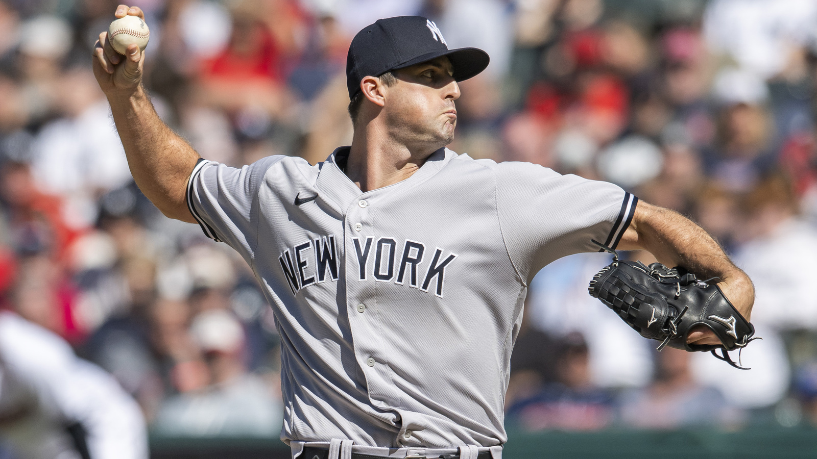 What Are The Official Colors Of The New York Yankees