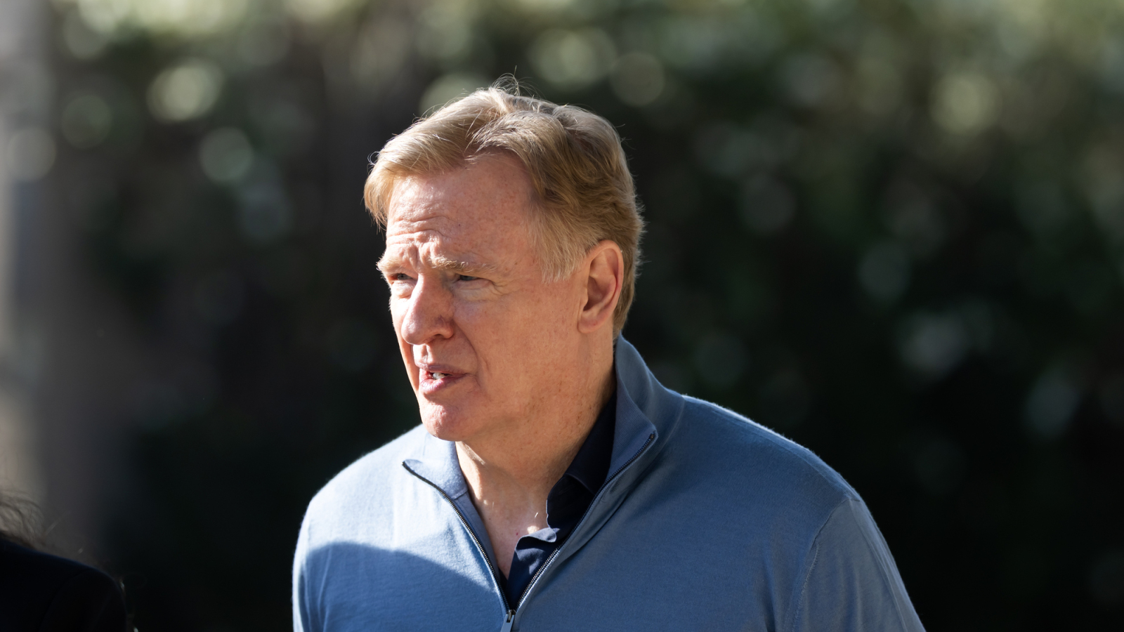 Roger Goodell trying to keep fans from getting too excited about 18-game regular season?