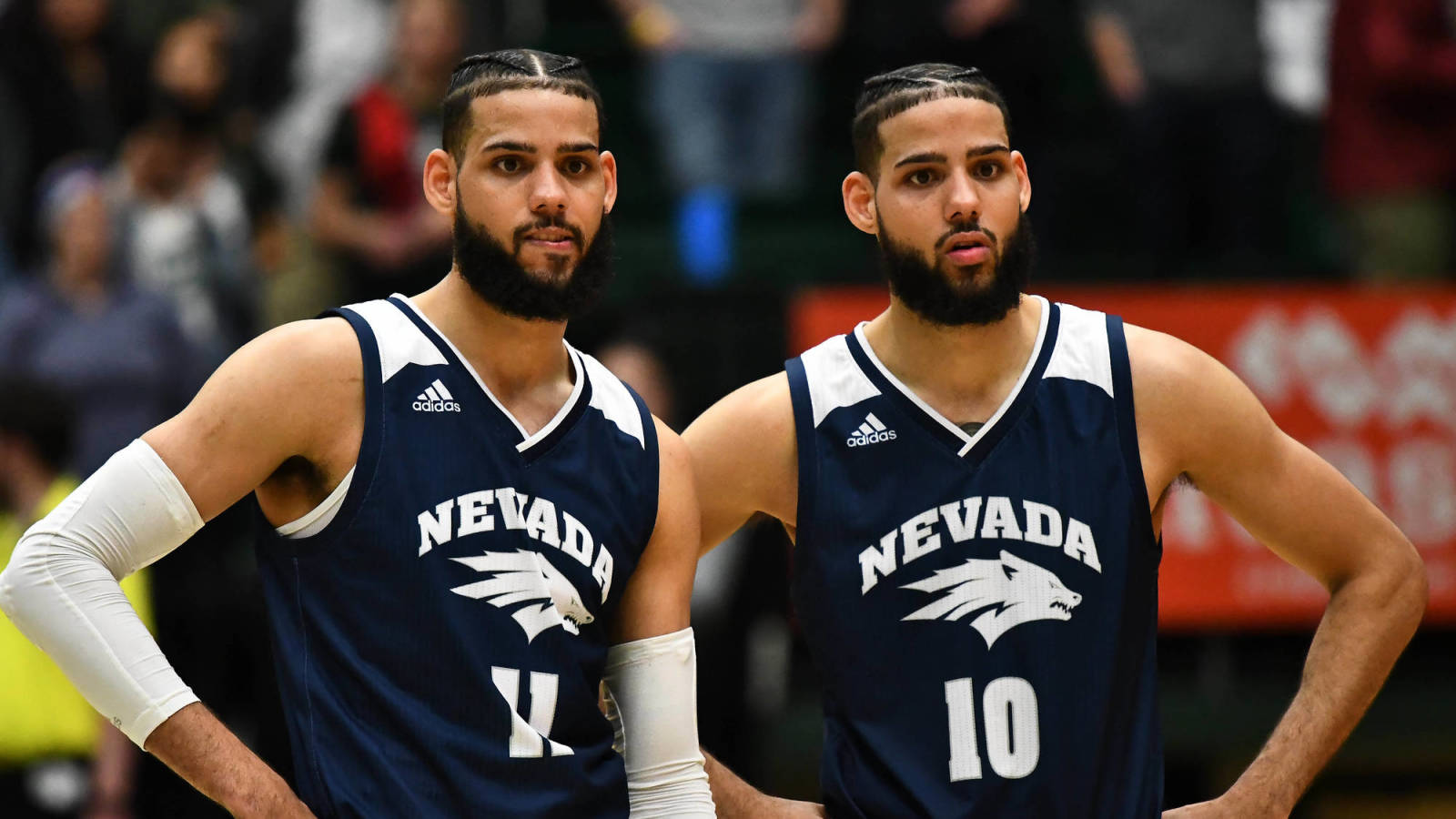 Hornets signing twin brothers Cody Martin, Caleb Martin | Yardbarker