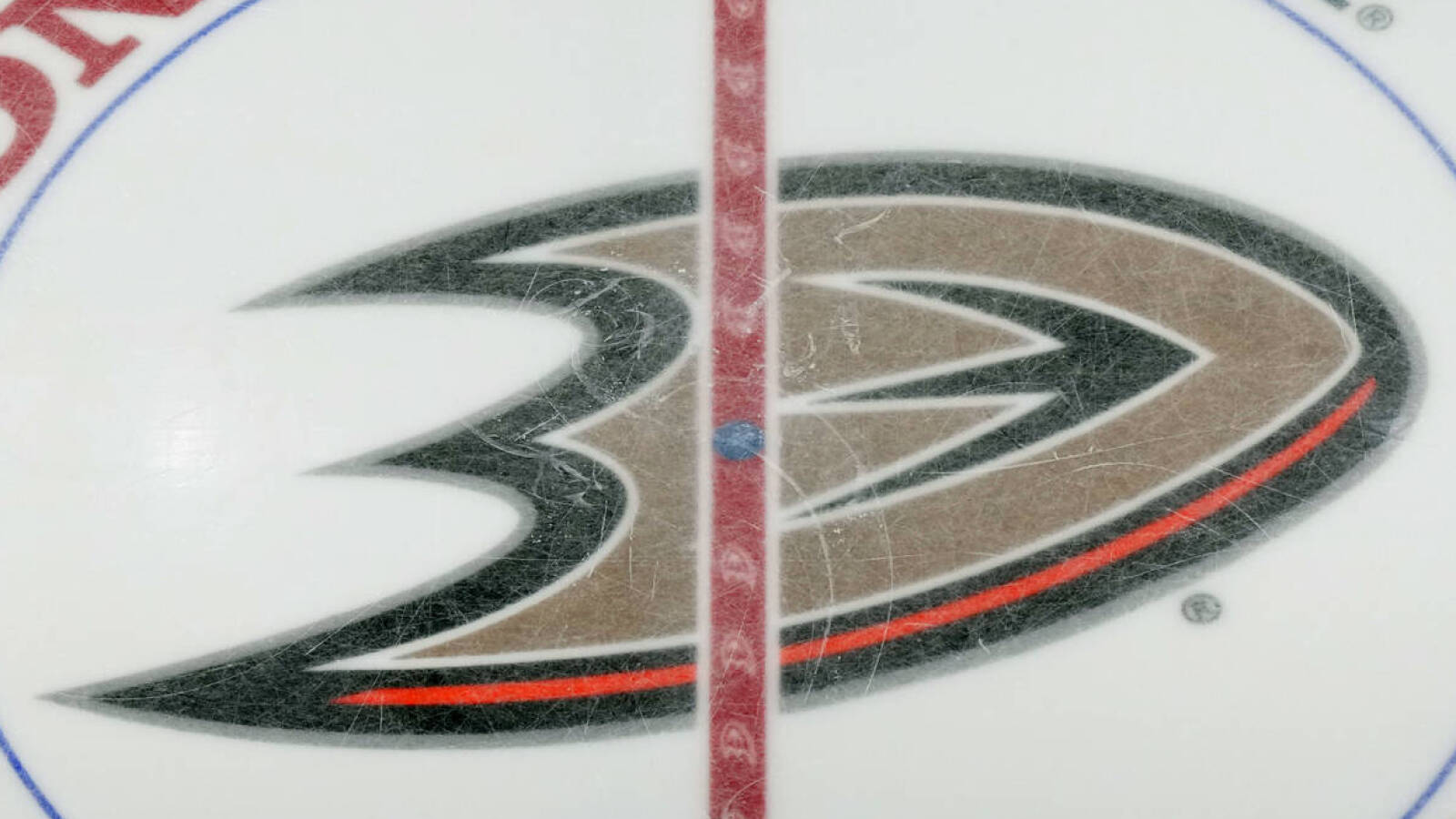 Ducks assistant coach Mike Stothers diagnosed with cancer - Vimarsana News