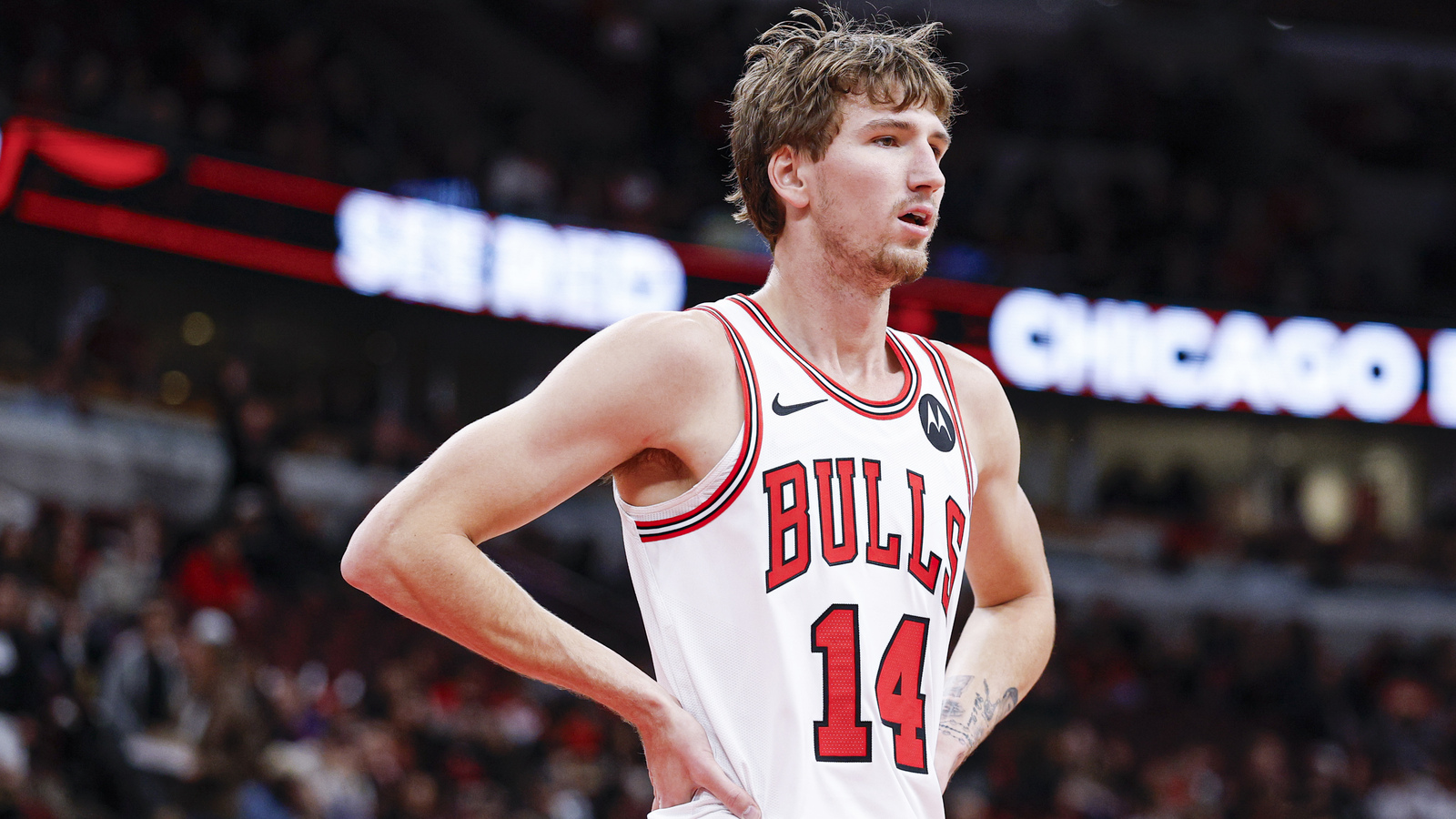 Chicago Bulls Soar to 4-0 Start Behind Buzelis and Giddey’s Dominant Performances