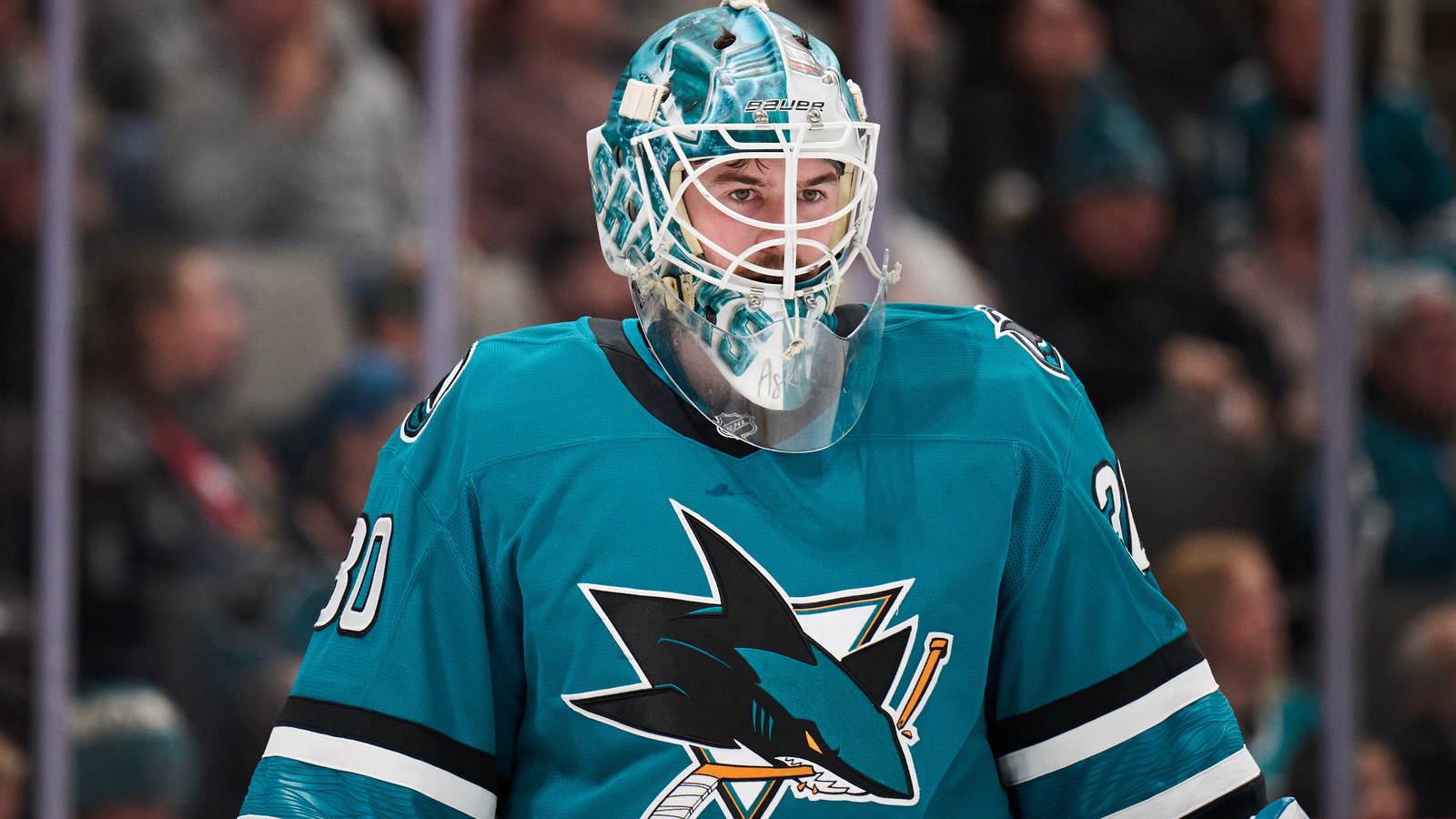 NHL News