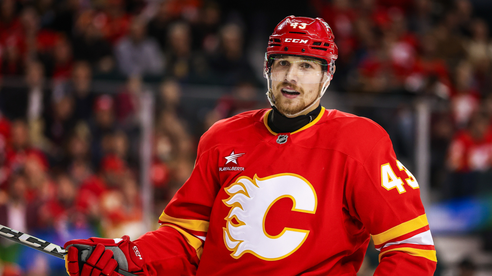 NHL News