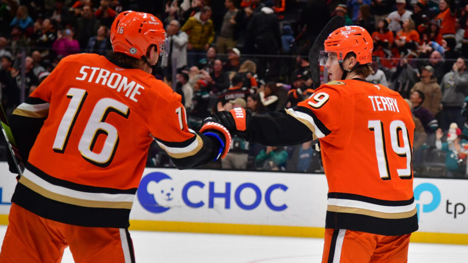 NHL News