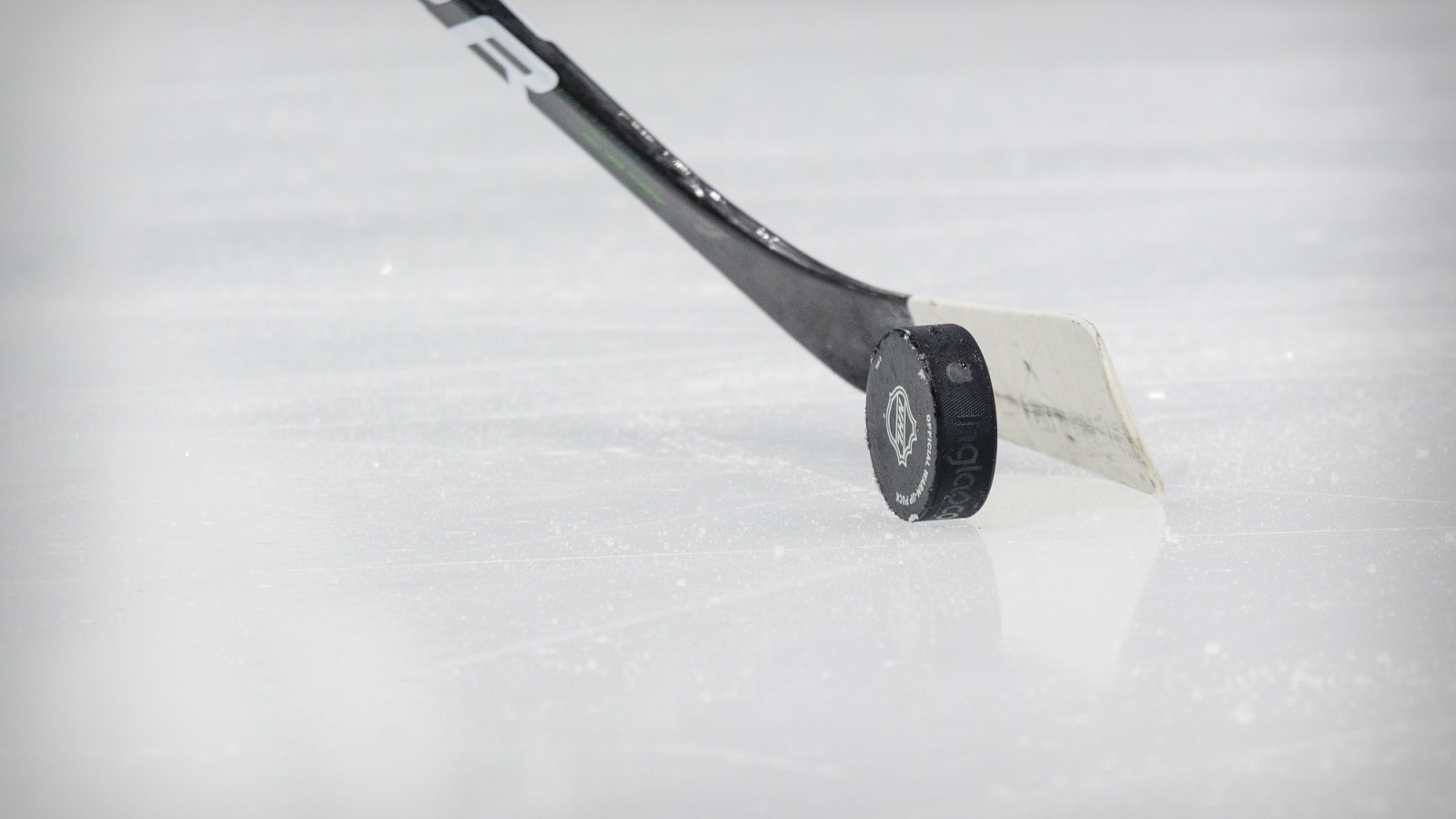 NHL News